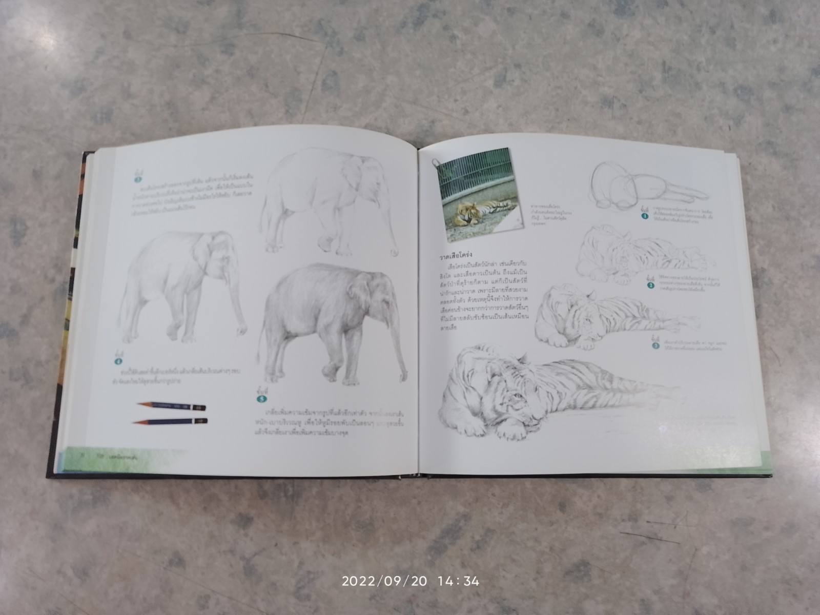 คัมภีร์วาดเส้น (มีรอยโดนน้ำ) / ทวีพงษ์ ลิมาภรณ์วณิชย์