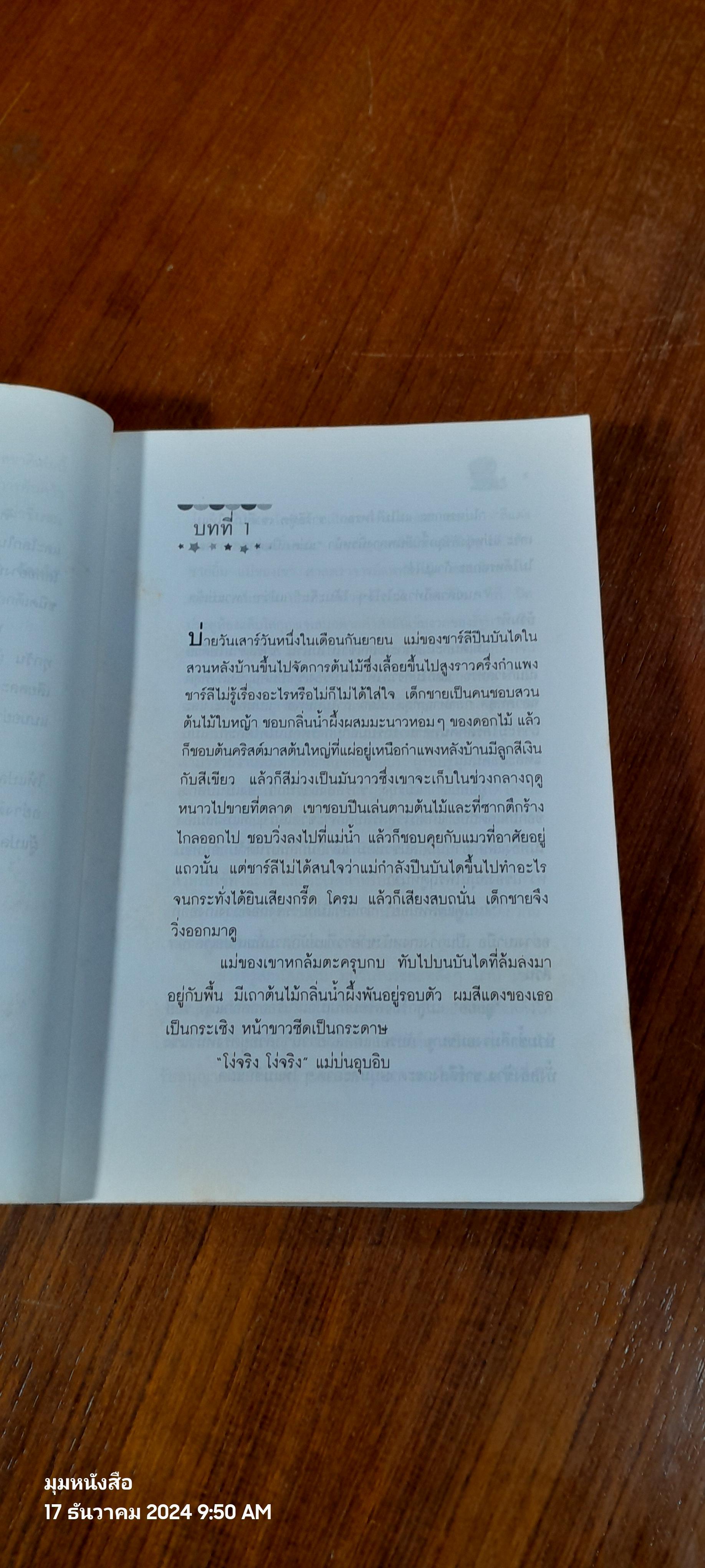 ไลอ้อน บอย / ซิซู คอร์เดอร์ (สภาพไม่สมบูรณ์)