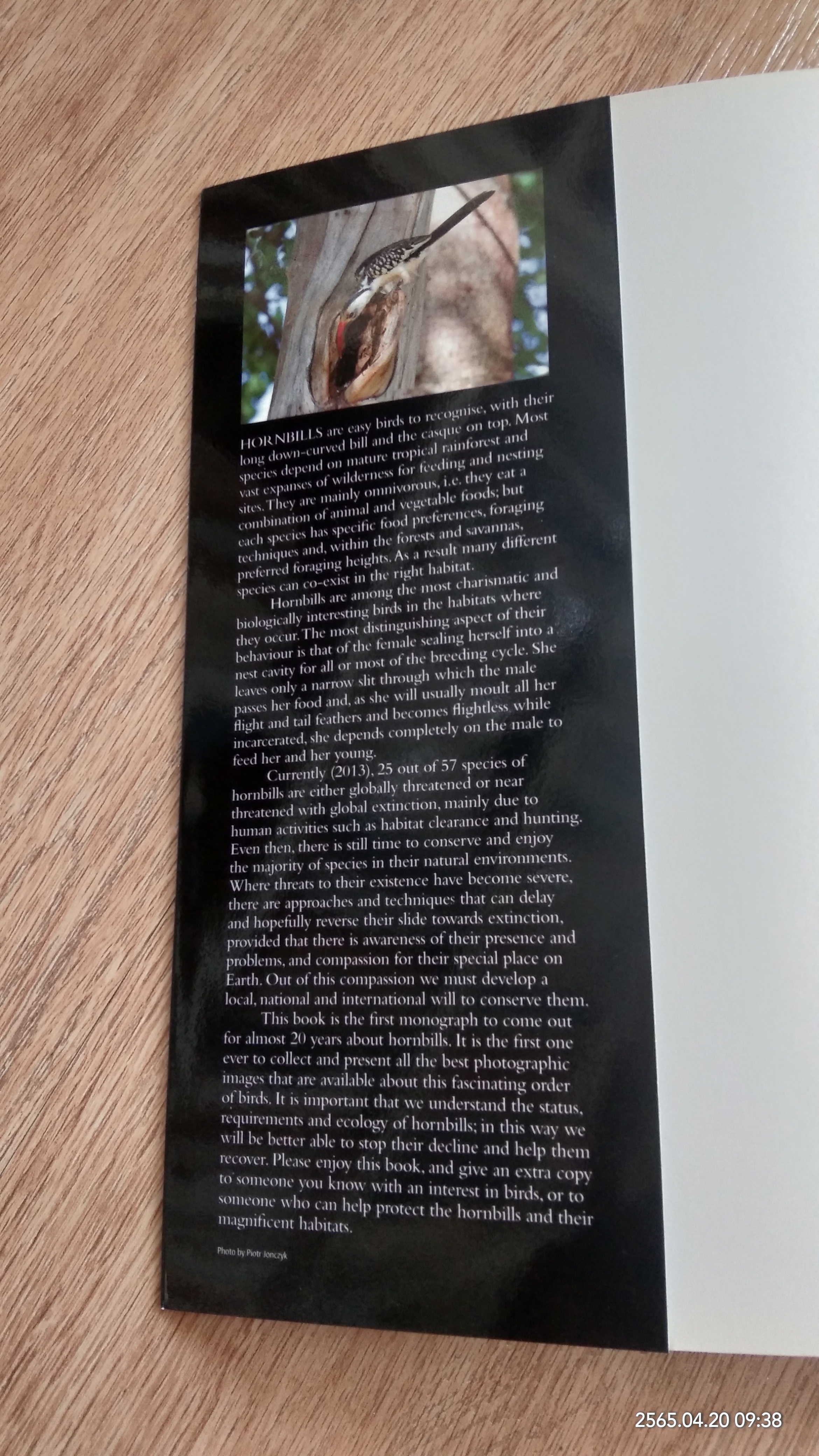 HORNBILLS OF THE WORLD / Poonswad, Pilai, Alan Kemp, Morten Strange