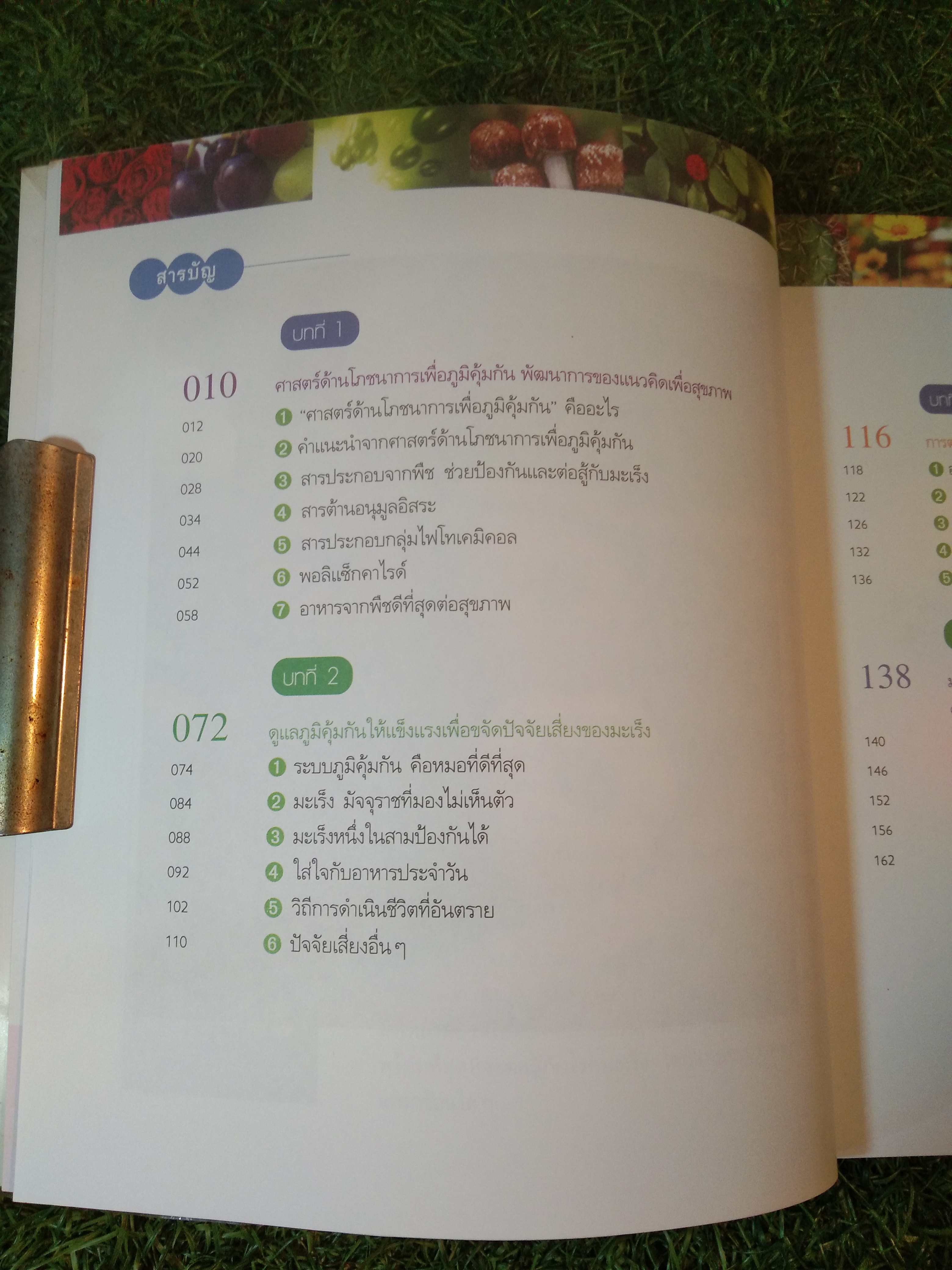 Caner & Nutritional Immunology โภชนาการต้านมะเร็ง / Jau-Fei Chen, PhD