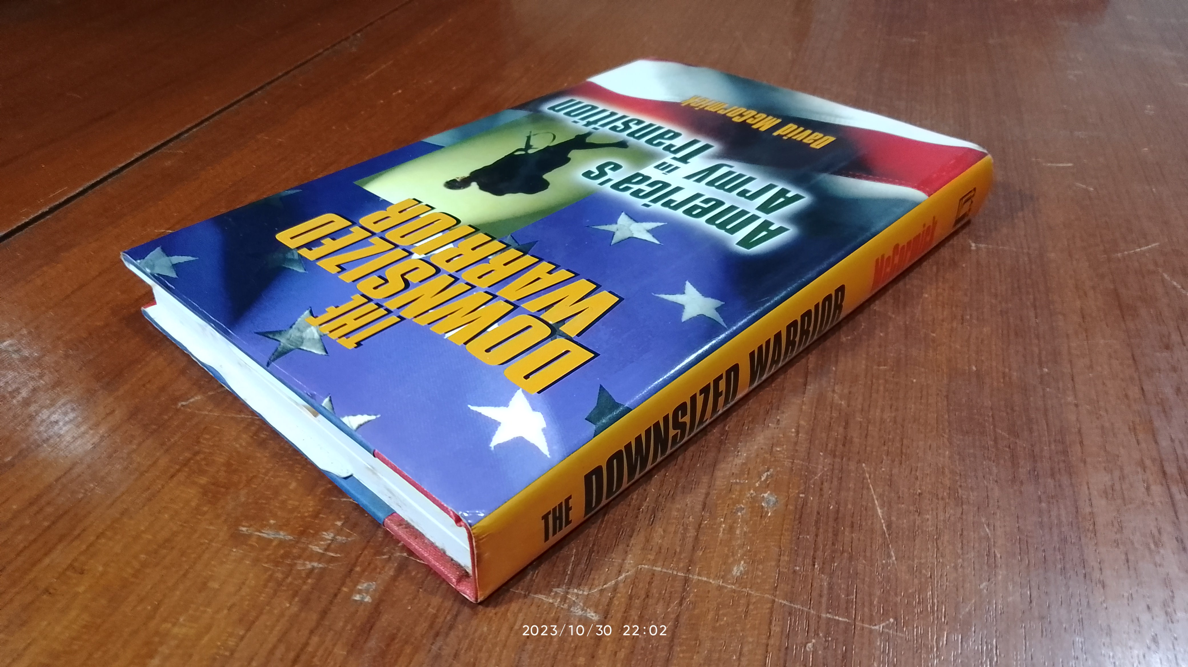 THE DOWNSIZED WARRIOR / David H McCormick