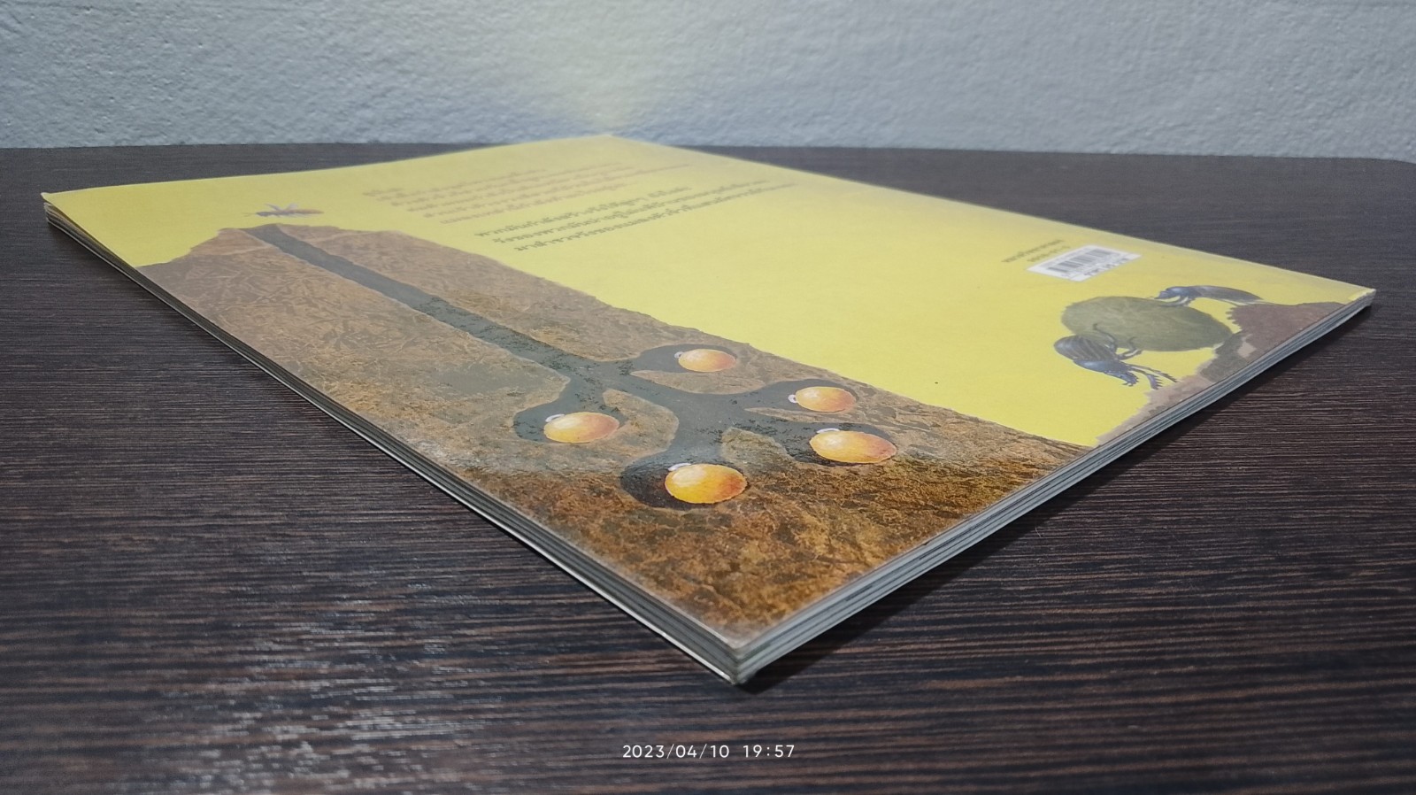 สร้างรัง ขุดรู สำรวจบ้านแมลง / Anne Moller