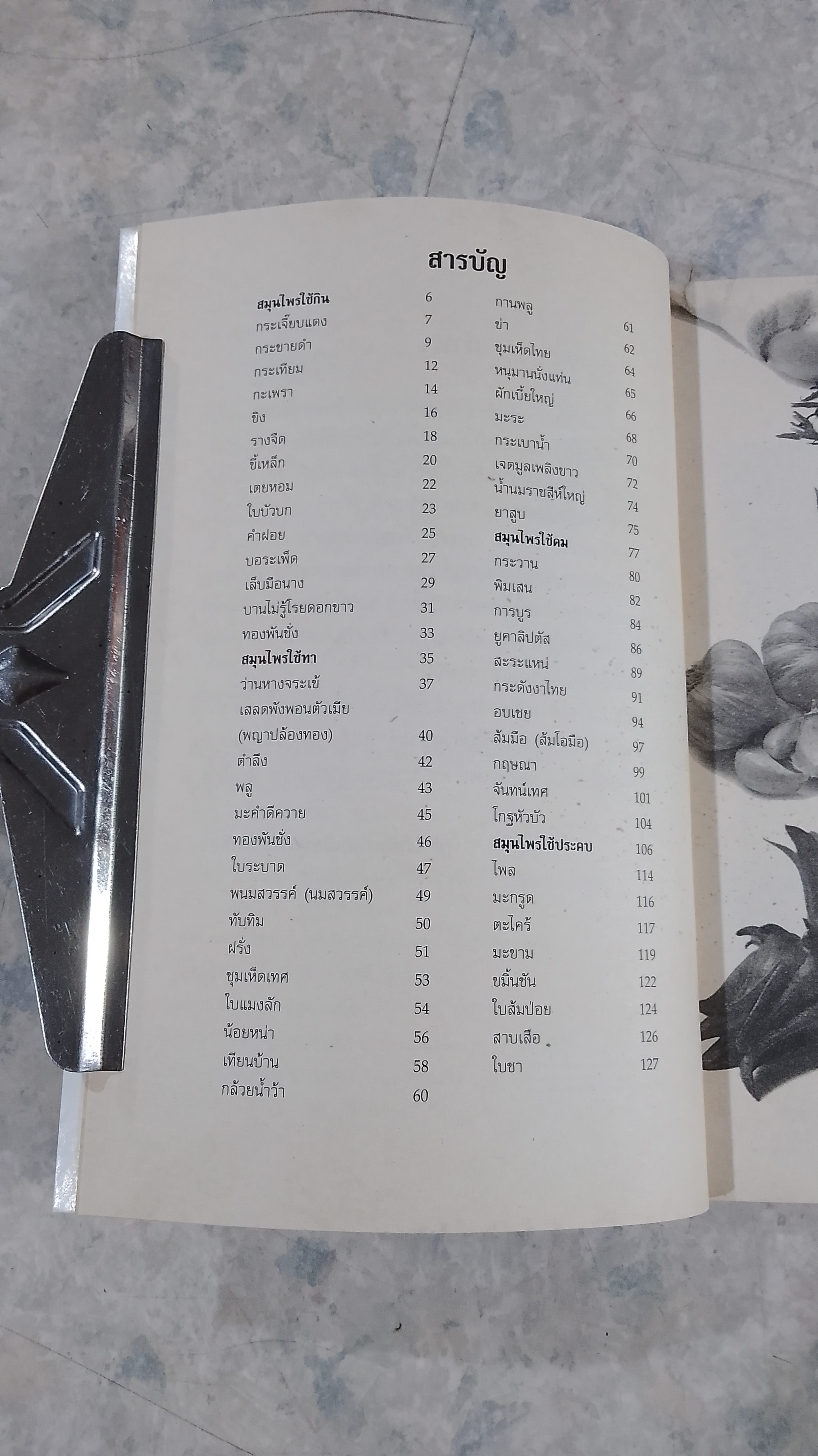 กิน ทา ดม ประคบ ครบสูตรยาสมุนไพร / พญ.อารีย์ โอบอ้อมรัก