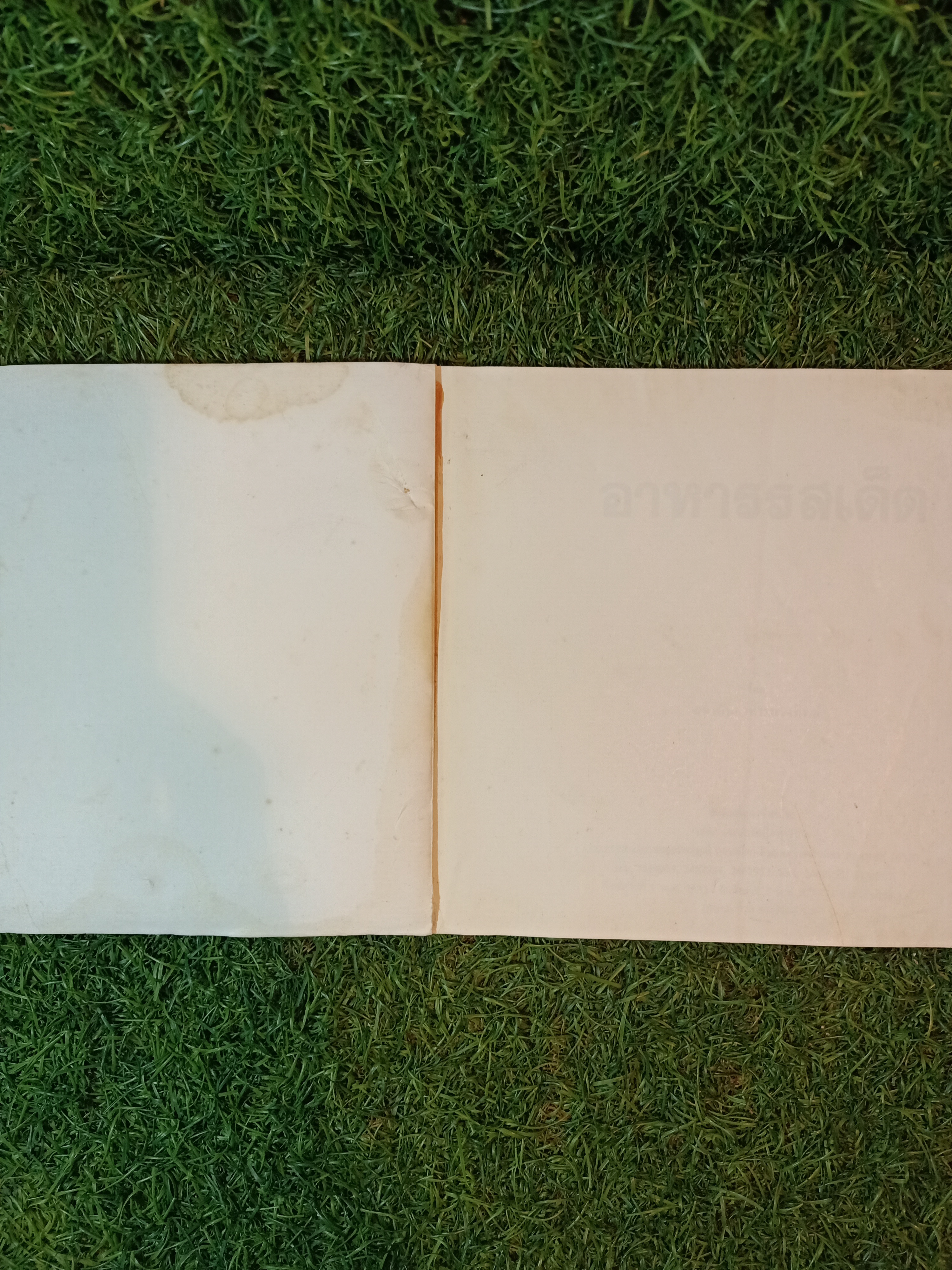 อาหารรสเด็ด (หนังสือมีรอยชำรุดตามรูปที่ถ่าย) / สถาบันอาหารตวงทิพย์