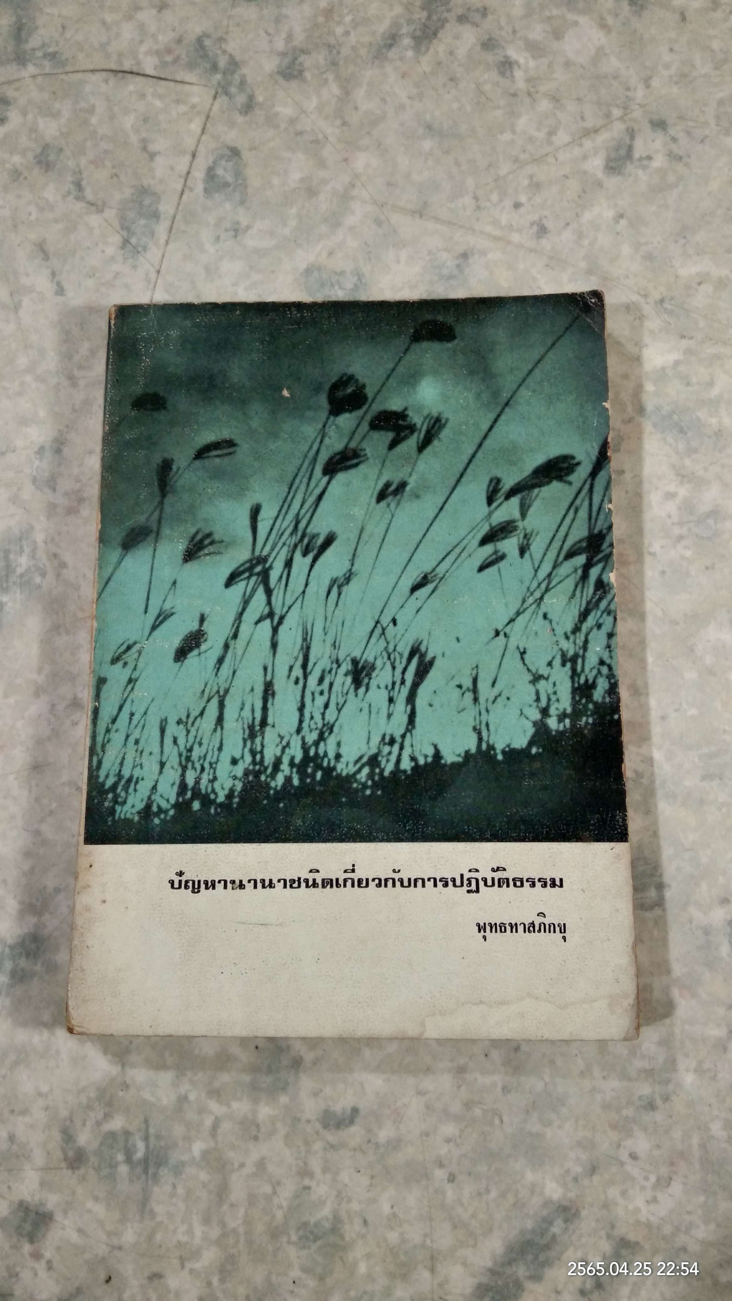 ปัญหานานาชนิดเกี่ยวกับการปฏิบัติธรรม / พุทธทาสภิกขุ