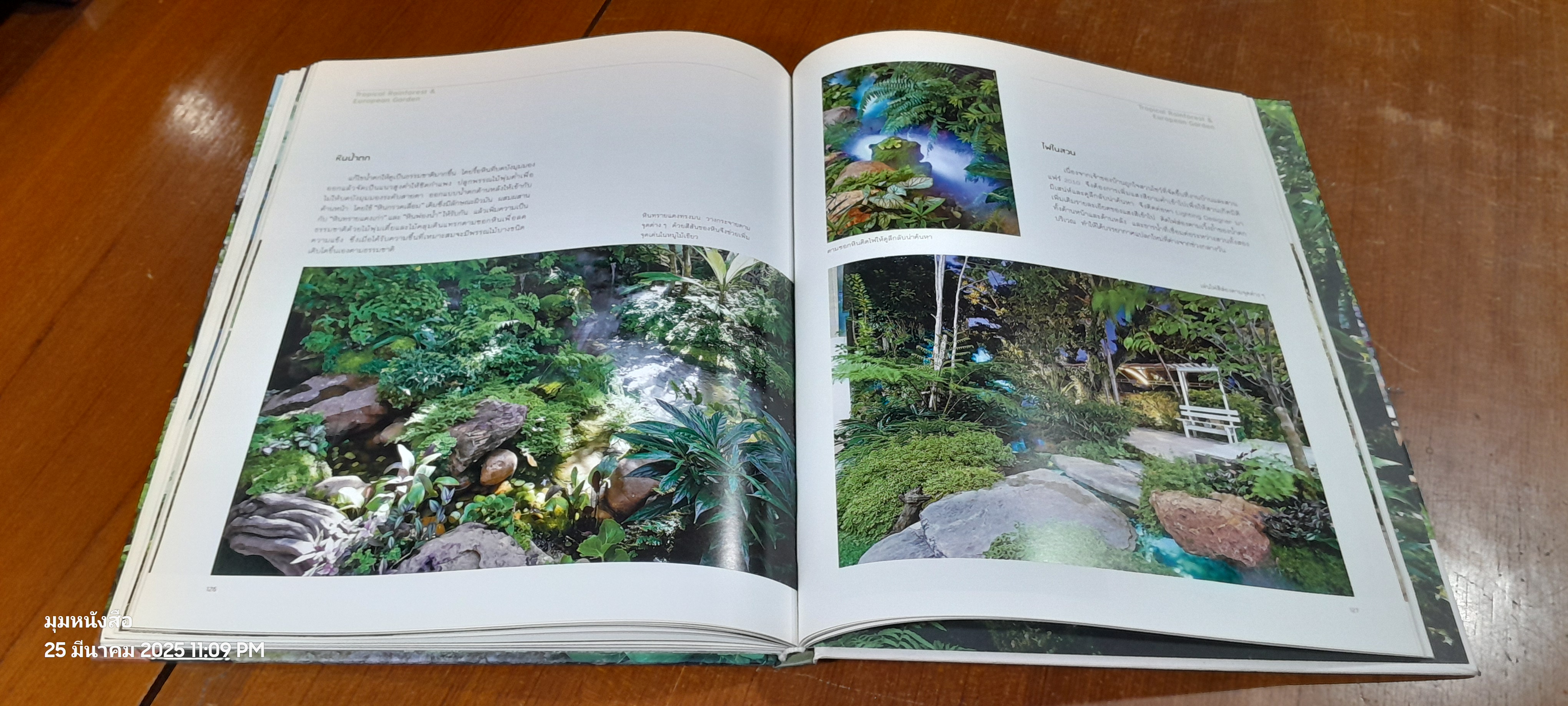 Tropical Rainforest & European Garden / วราวุฒิ แก้วสุก