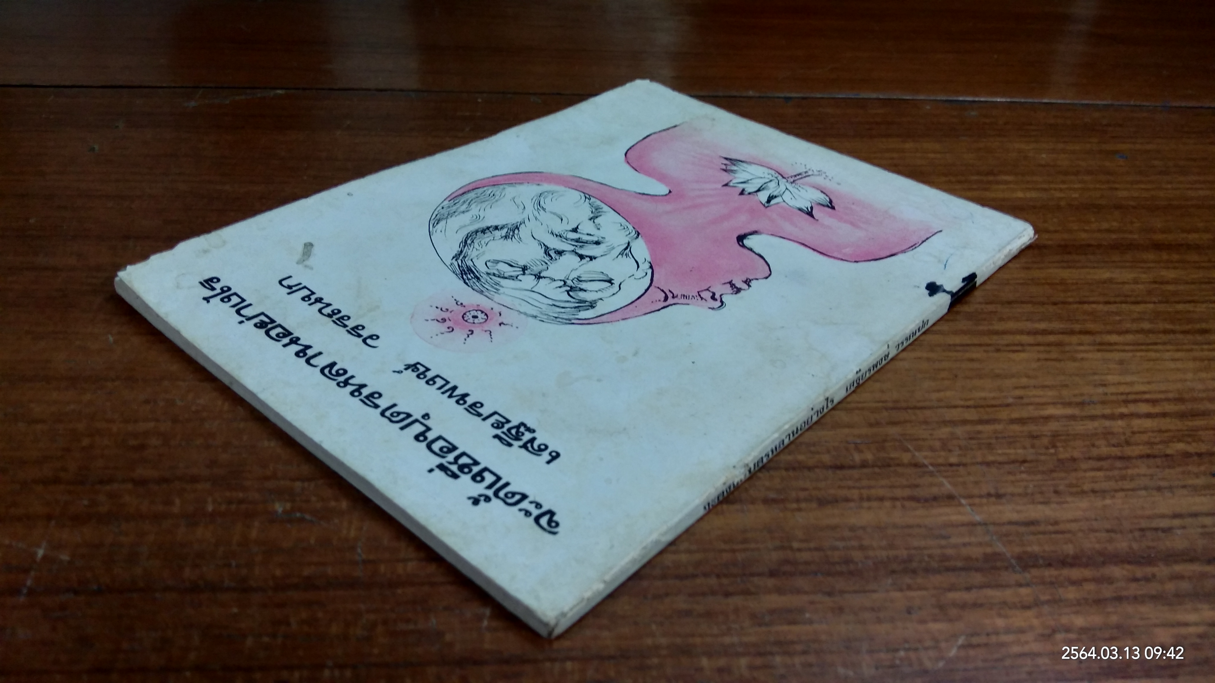 จะตั้งชื่อบุตรหลานอย่างไร / เสฐียรพงษ์ วรรณปก