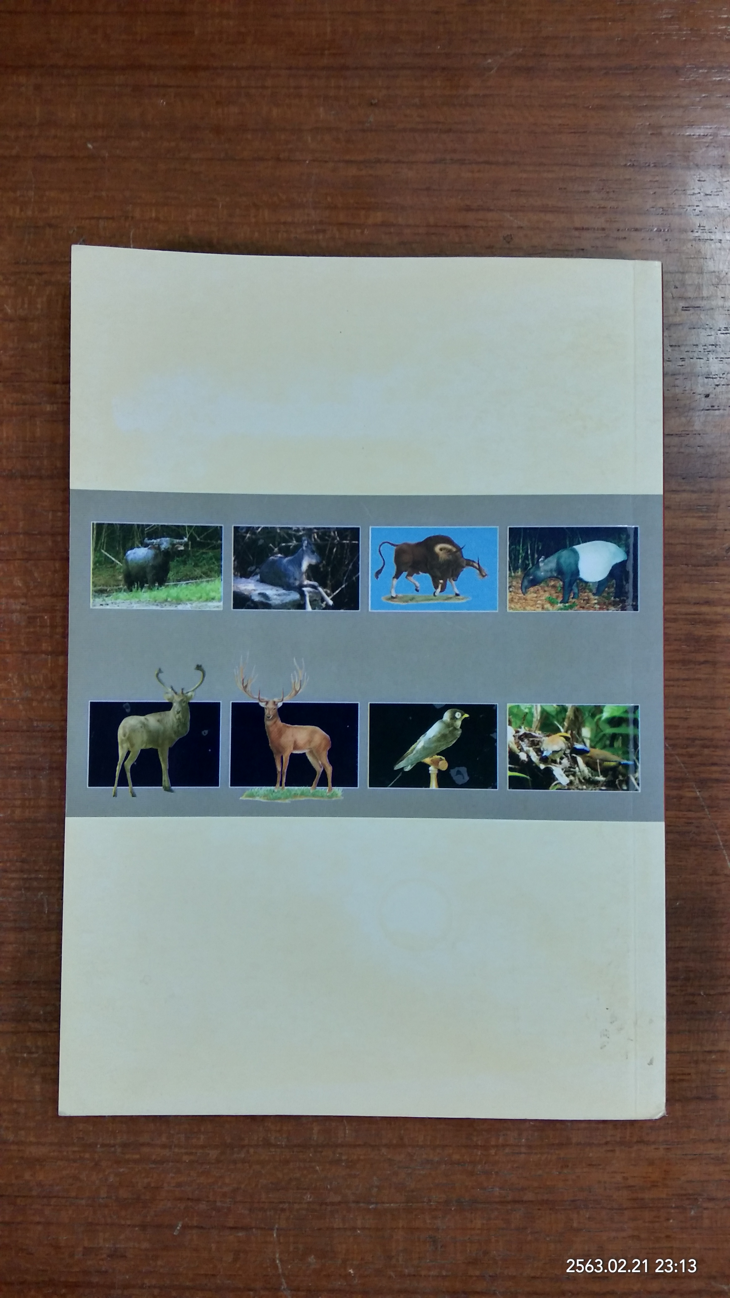 สัตว์ป่าสงวนในประเทศไทย / กรมอุทยานแห่งชาติ