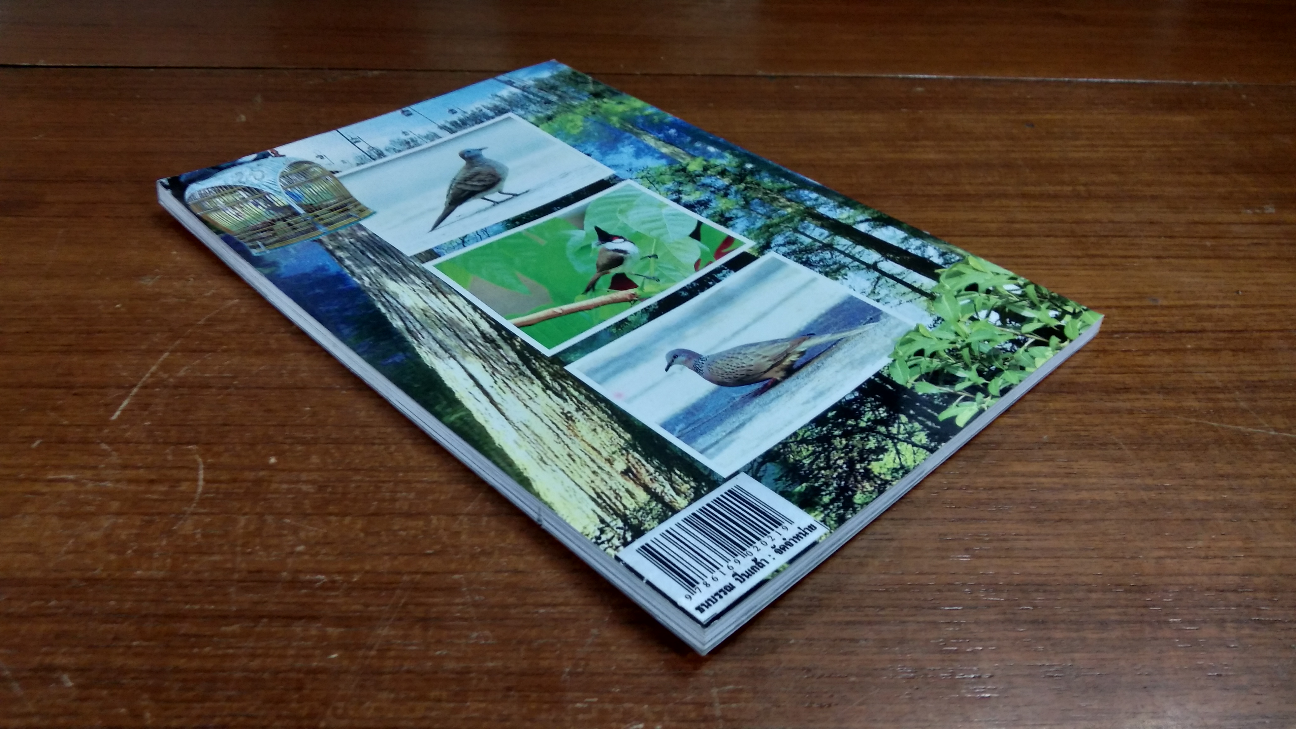 คู่มือฝึก - ต่อ นกกรงหัวจุก นกเขาชวา นานาชนิด