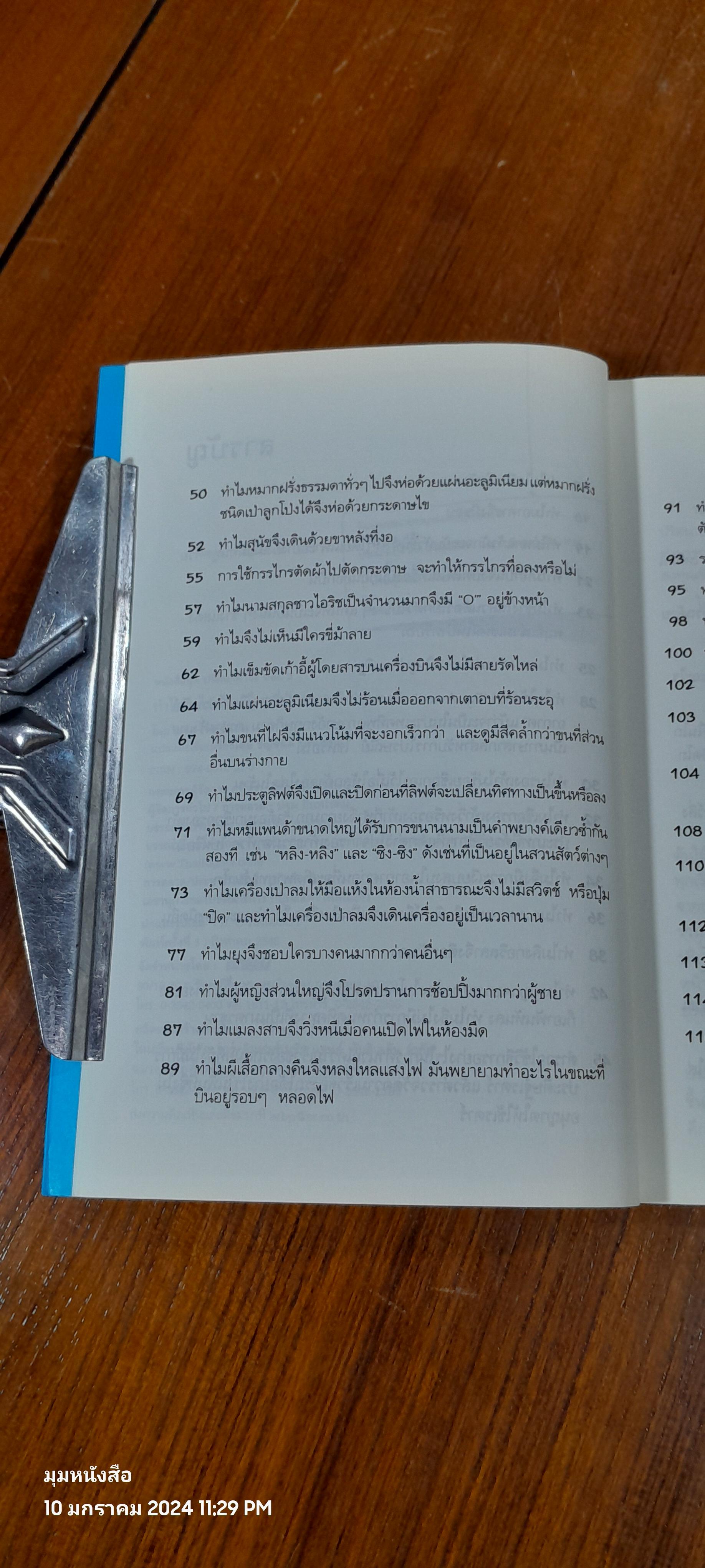 ปริศนาคาใจ ? / เดวิด เฟลด์แมน