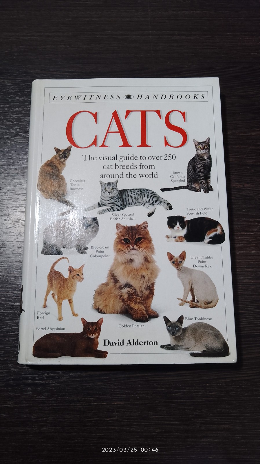CATS / David Alderton