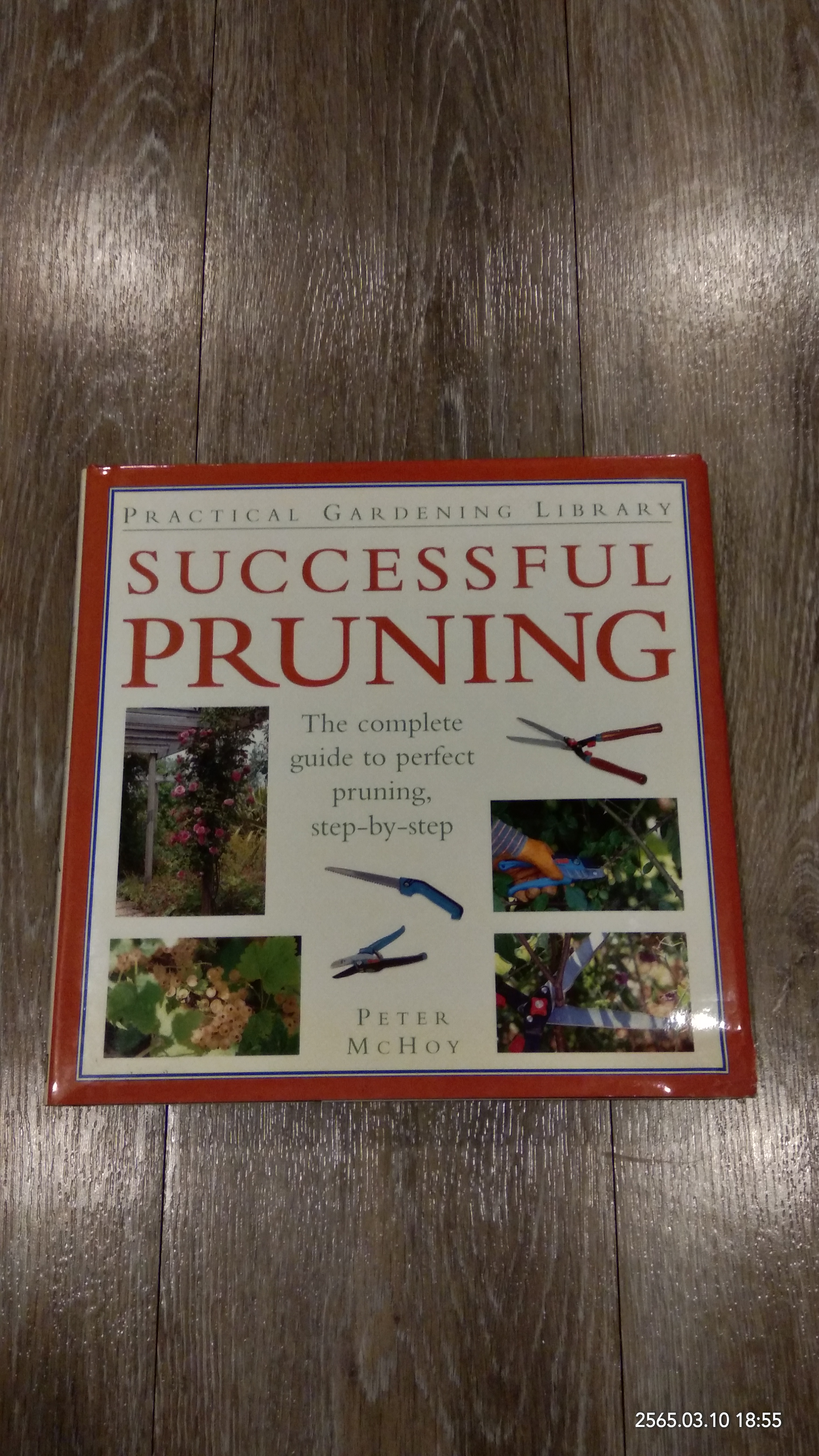 SUCCESSFUL PRUNING / PETER MCHOY