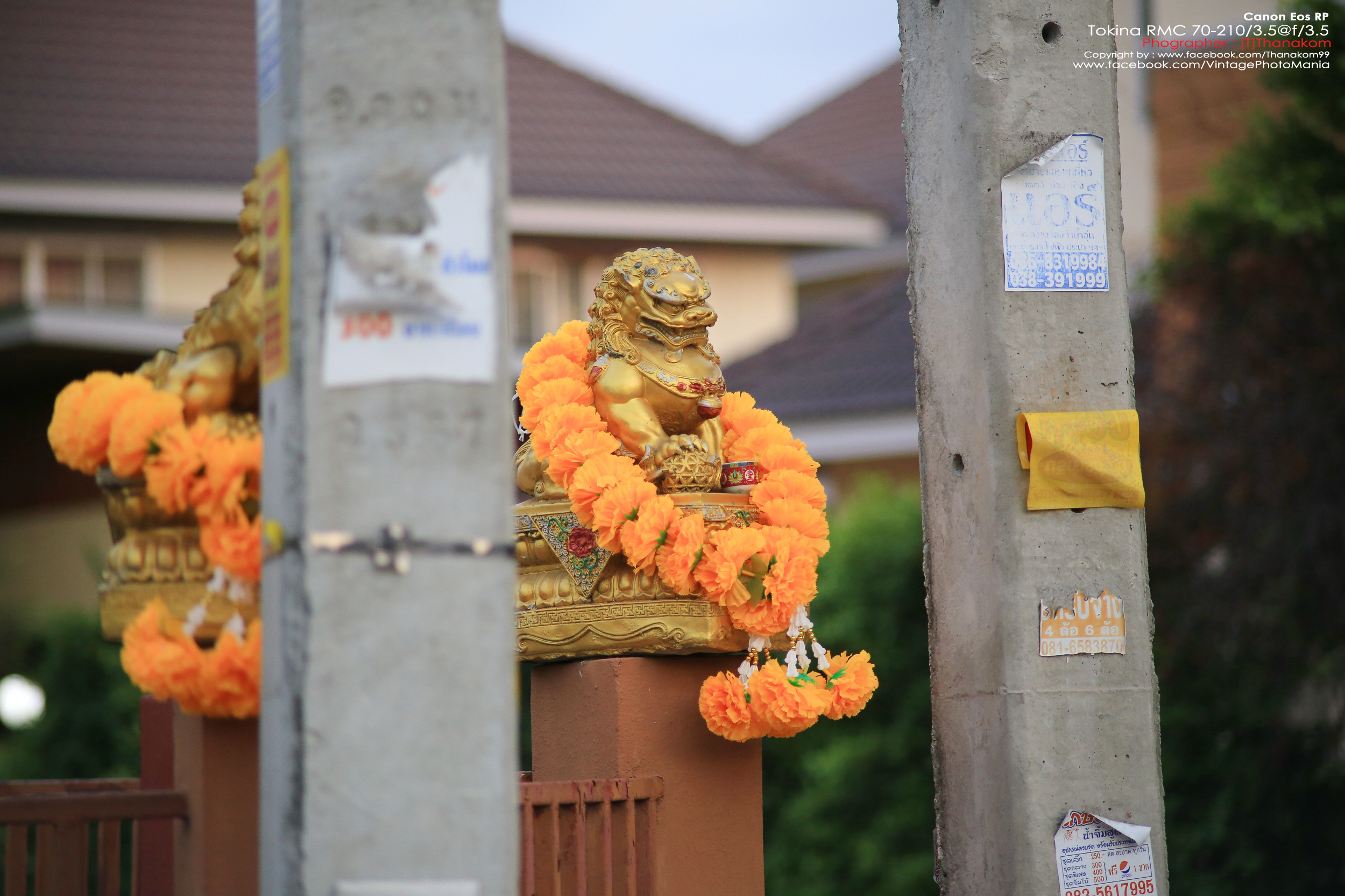 Tokina RMC 70-210/3.5 *Nikon Ai-S Mount เลนส์ไวแสงคมๆโบเก้สวย