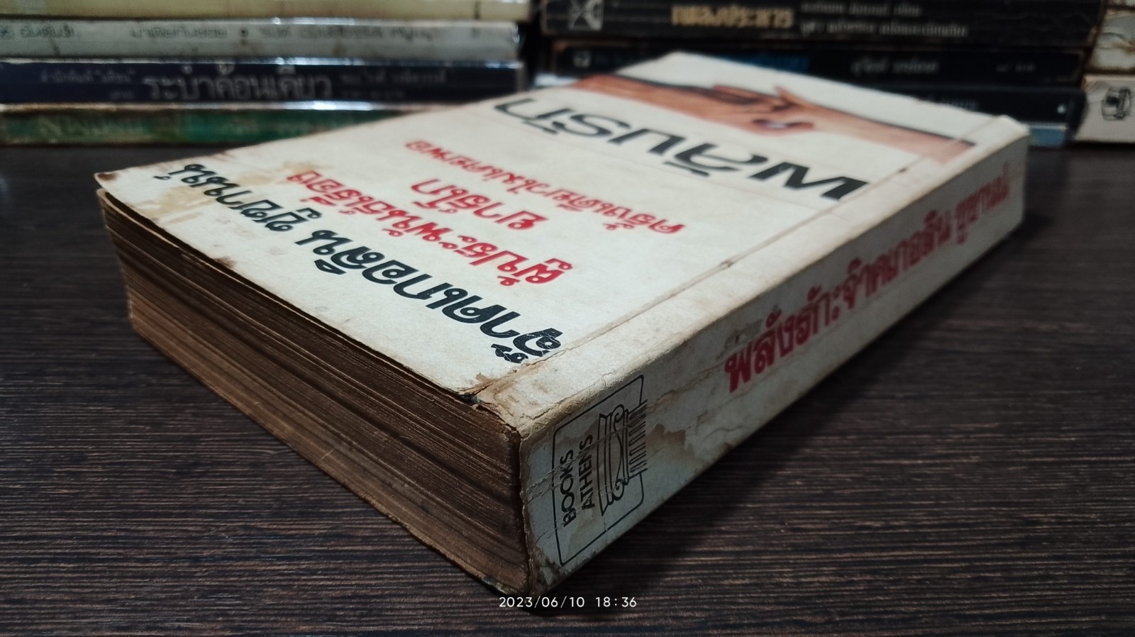 พลังรัก / จ๊าคเกอลิน ซูซานน์