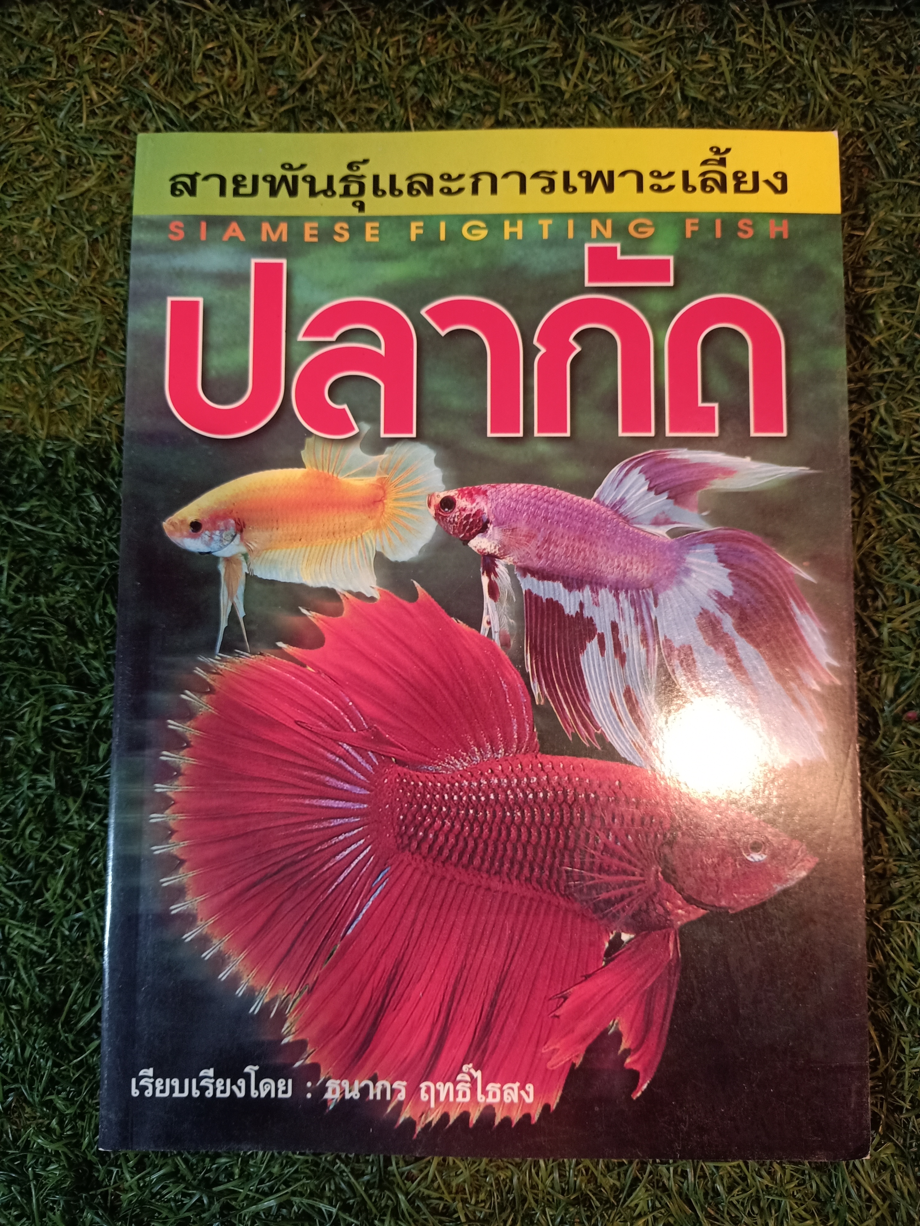 สายพันธุ์และการเพาะเลี้ยง ปลากัด / ธนากร ฤทธิ์ไธสง