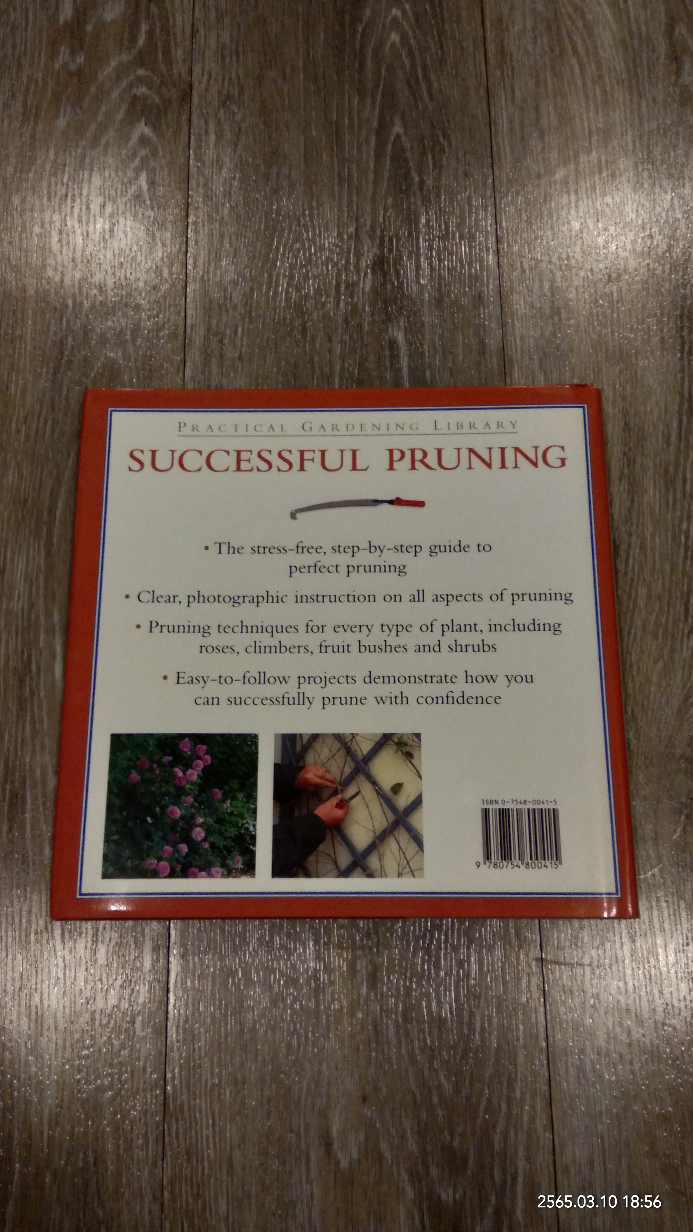 SUCCESSFUL PRUNING / PETER MCHOY