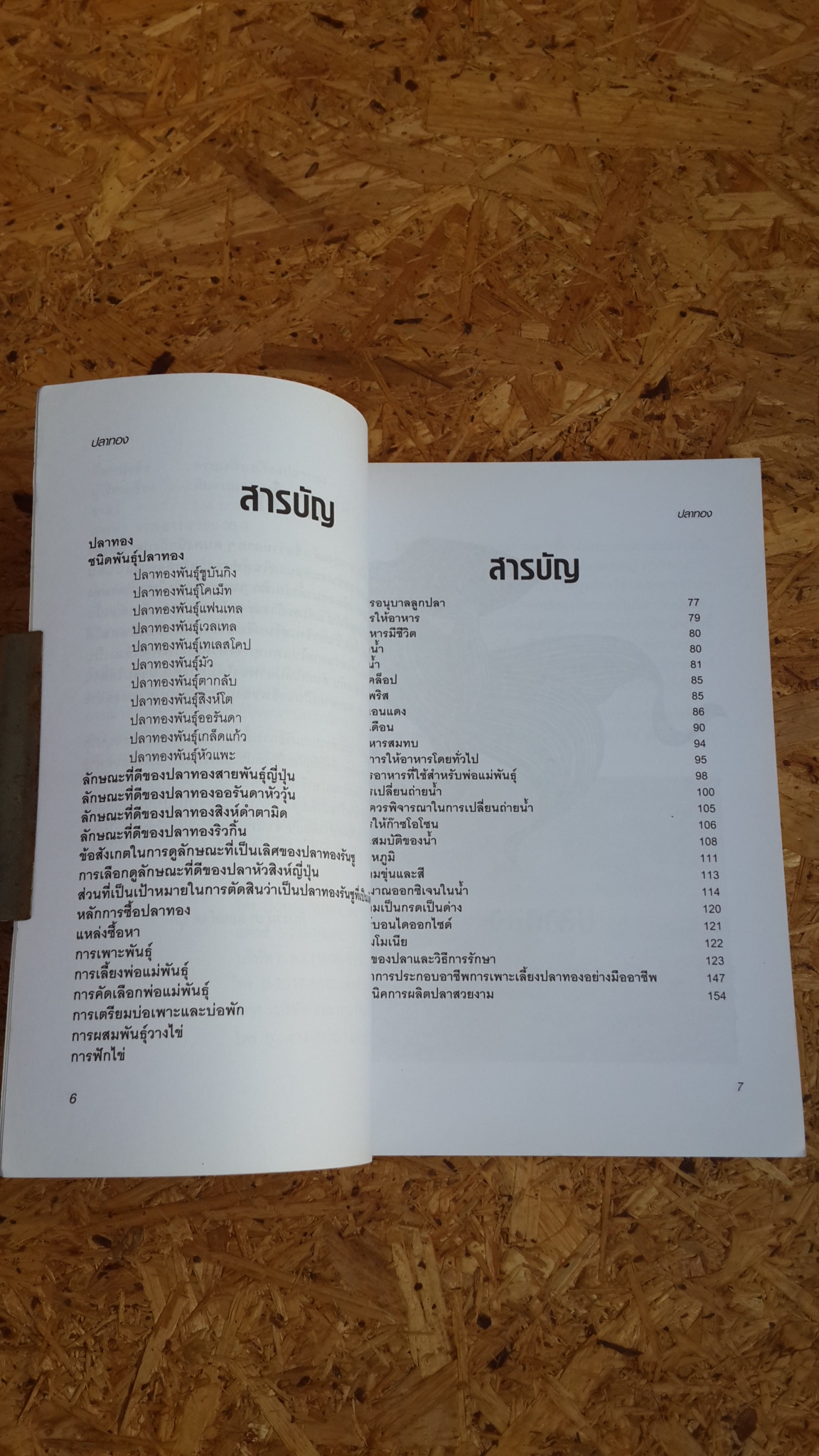 ครบเครื่องเรื่องปลาทอง