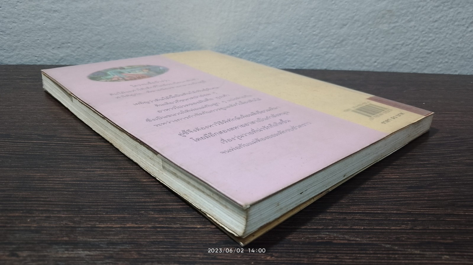 ต้นไม้กินถุงเท้า / แนนซี แมกอาร์เทอร์