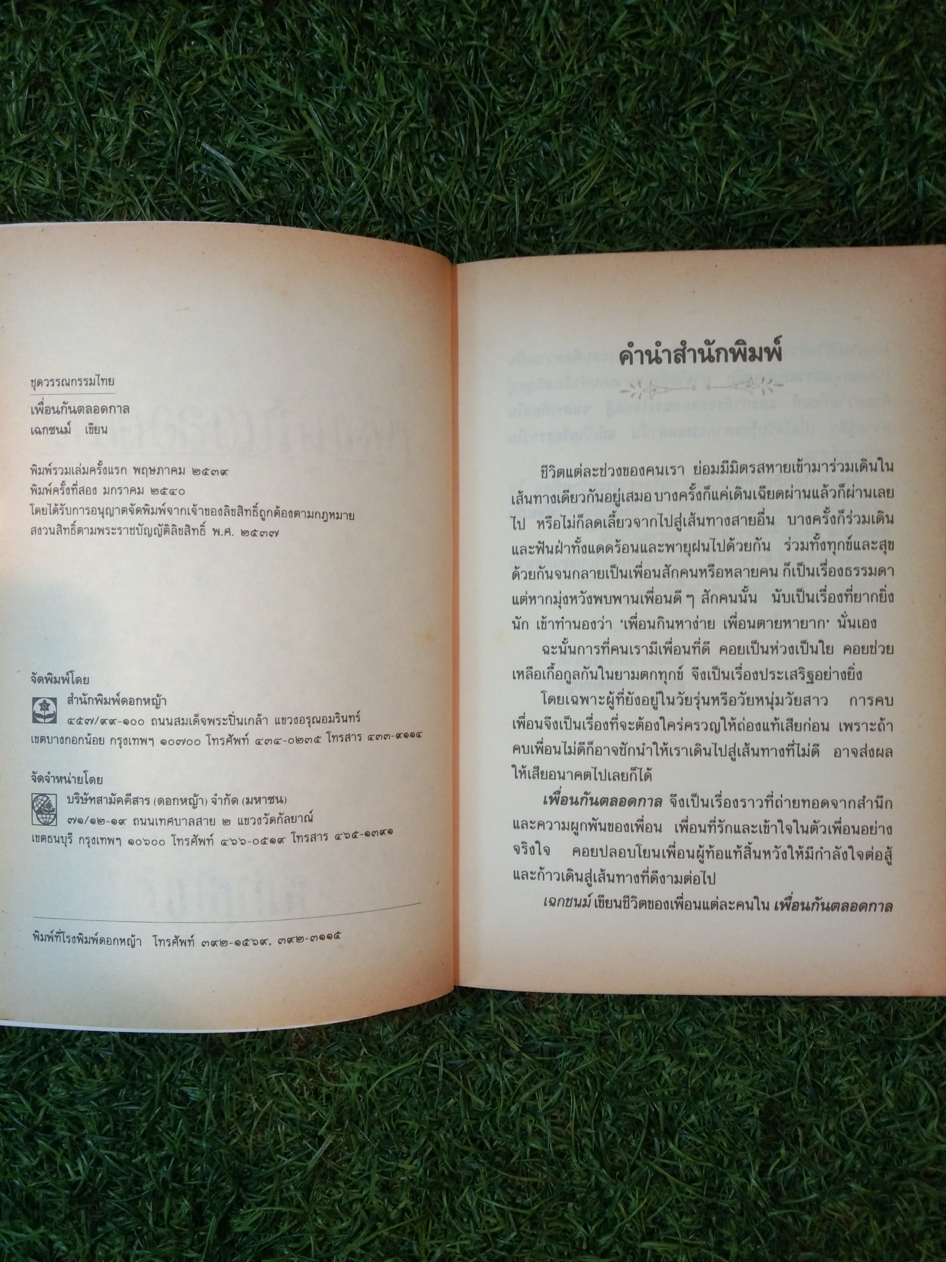 เพื่อนกันตลอดกาล / เฉกชนม์