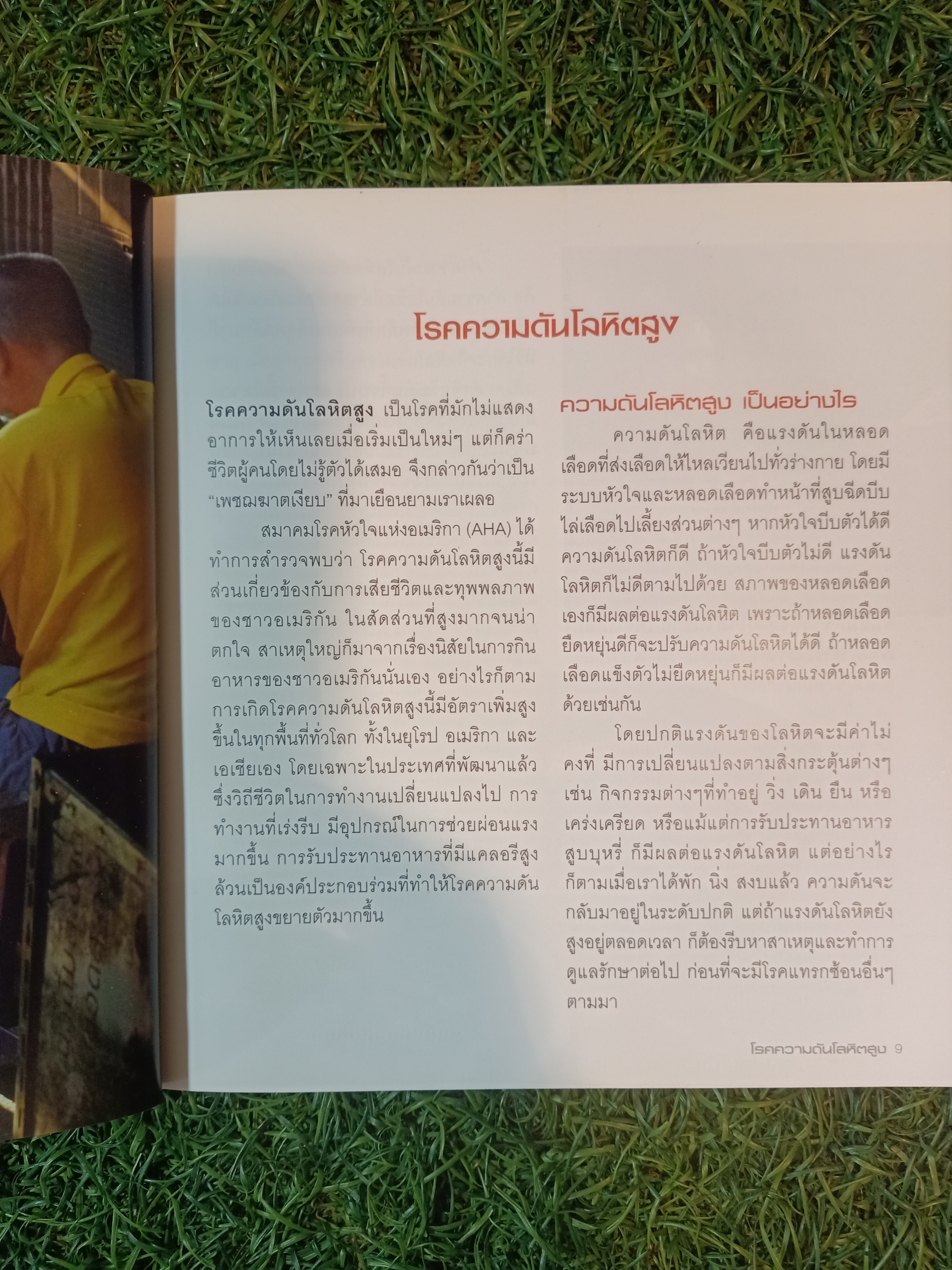 ความดันโลหิตสูง กับอาหารต้านความดัน / แสงแดด