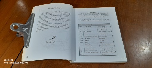 สนุกกับ HOMESCHOOL หลักสูตรและกิจกรรมสำหรับเด็กปฐมวัยและประถมต้น / เดนิส ธีโอบาลด์