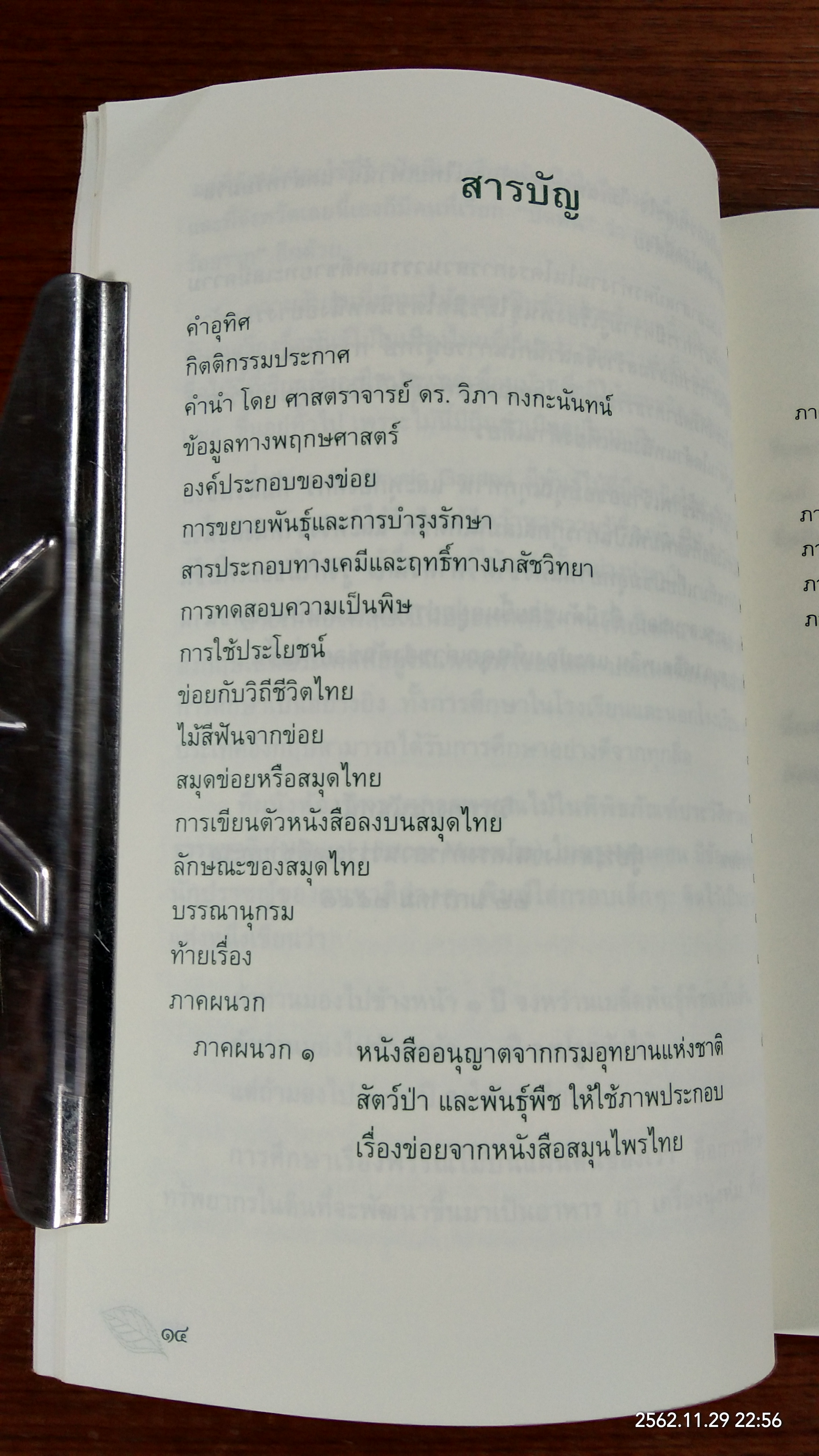 ข่อย / อภิชาติ เจริญมา