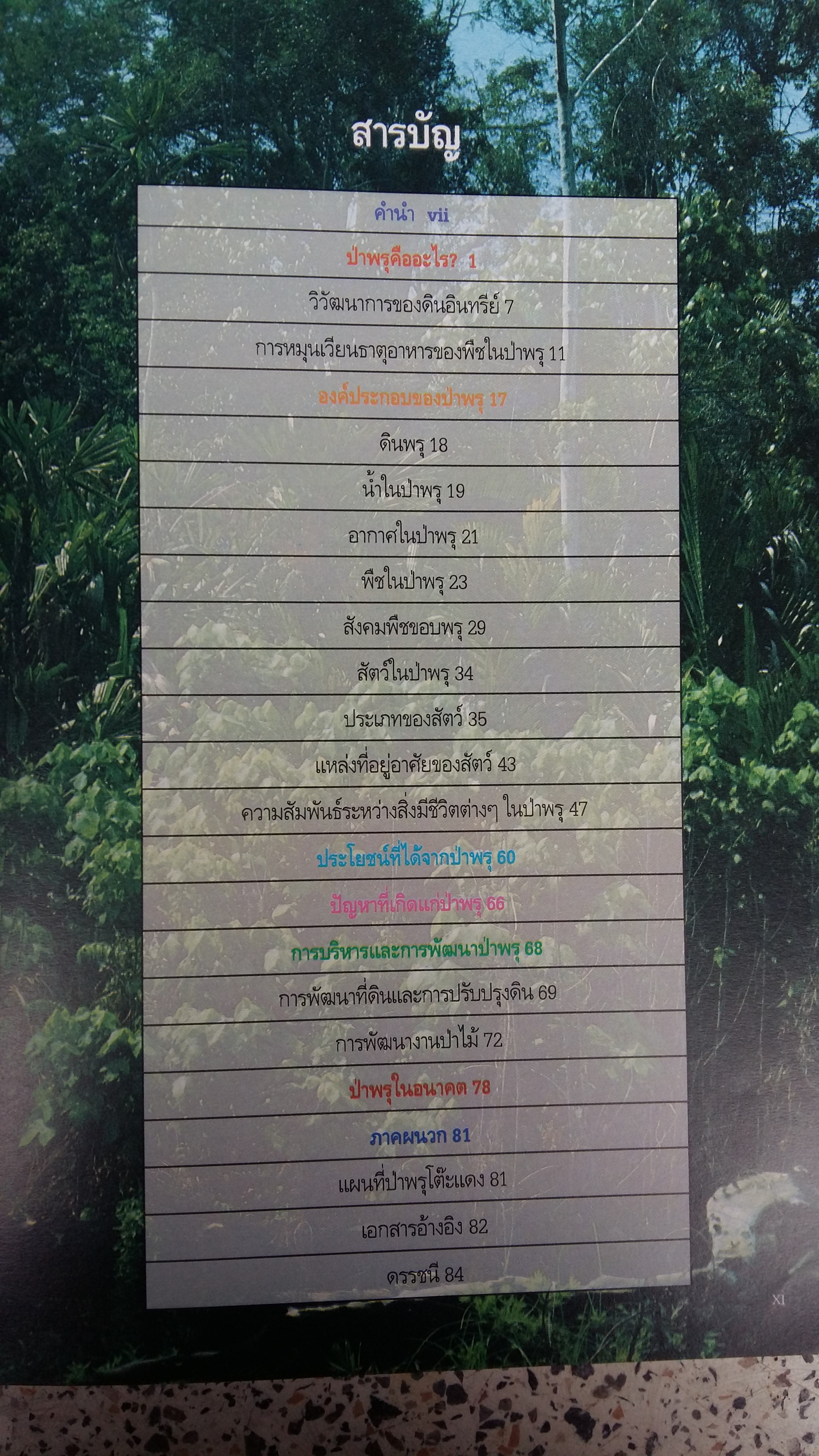 ป่าพรุโต๊ะแดง