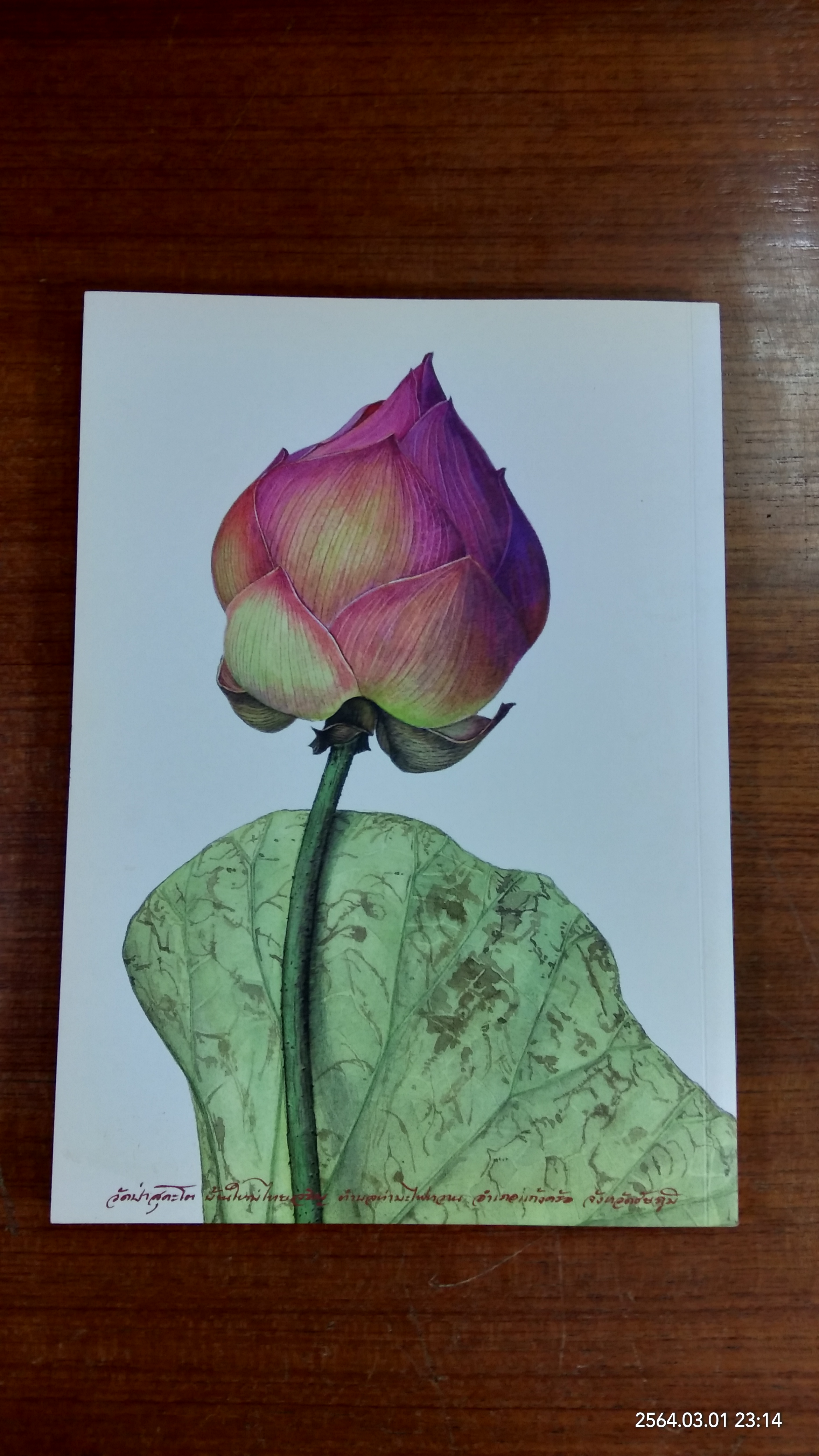 บทสวดมนต์และคำแปล วัดป่าสุคะโต