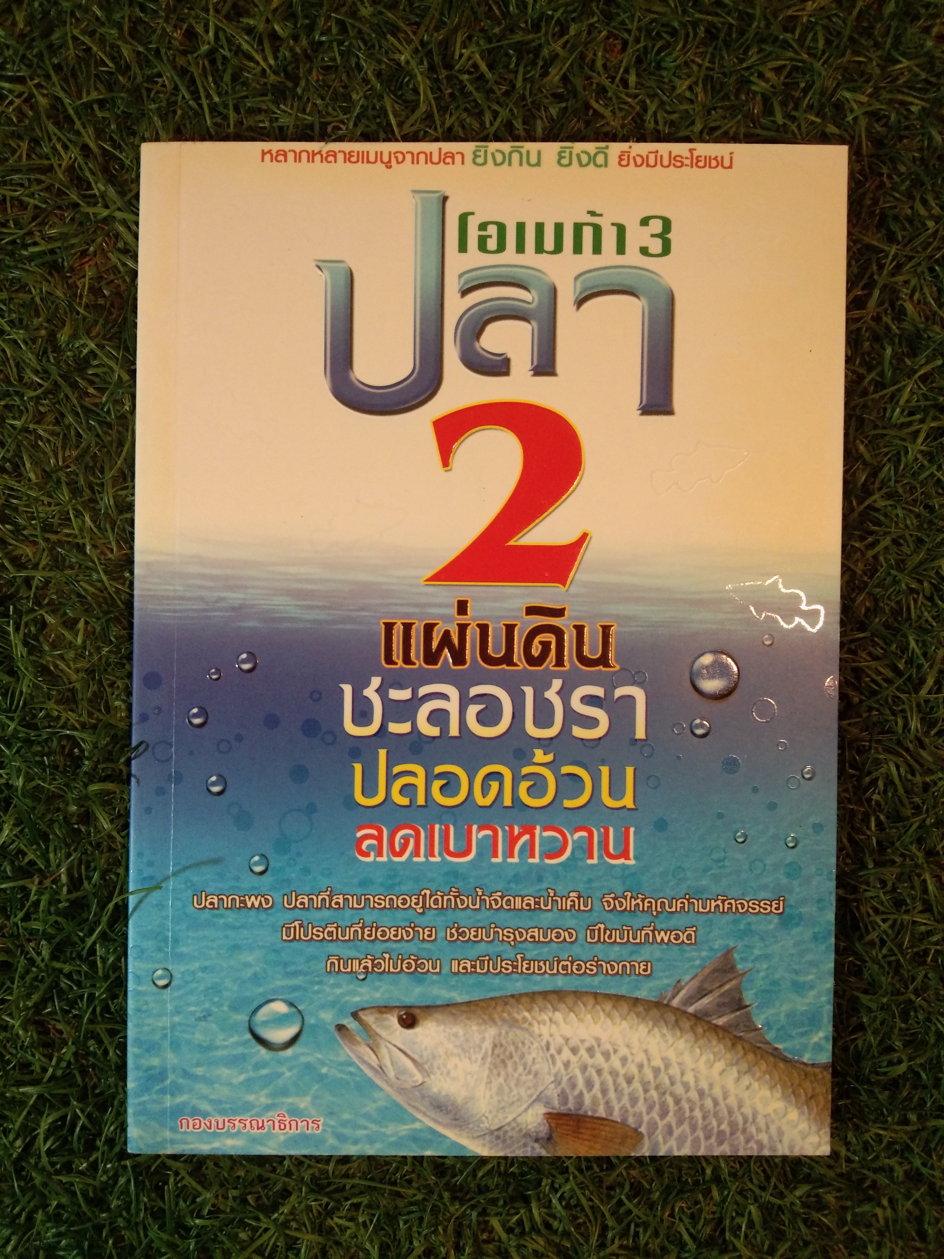 โอเมก้า 3 ปลา 2 แผ่นดิน ชะลอชรา ปลอดอ้วน ลดเบาหวาน / BANGKOK BOOKS