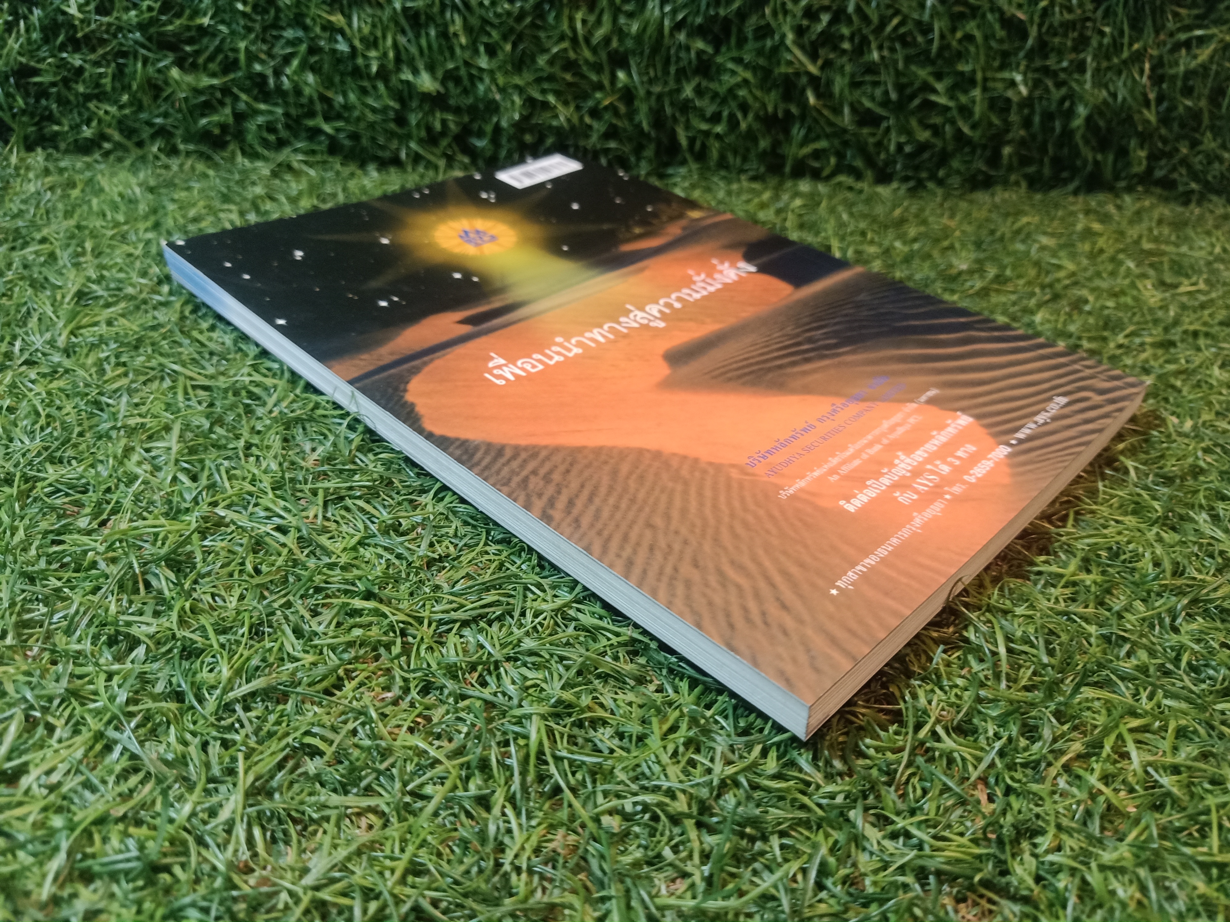 กลยุทธ์ หุ้นห่านทองคำ / เทพ รุ่งธนาภิรมย์