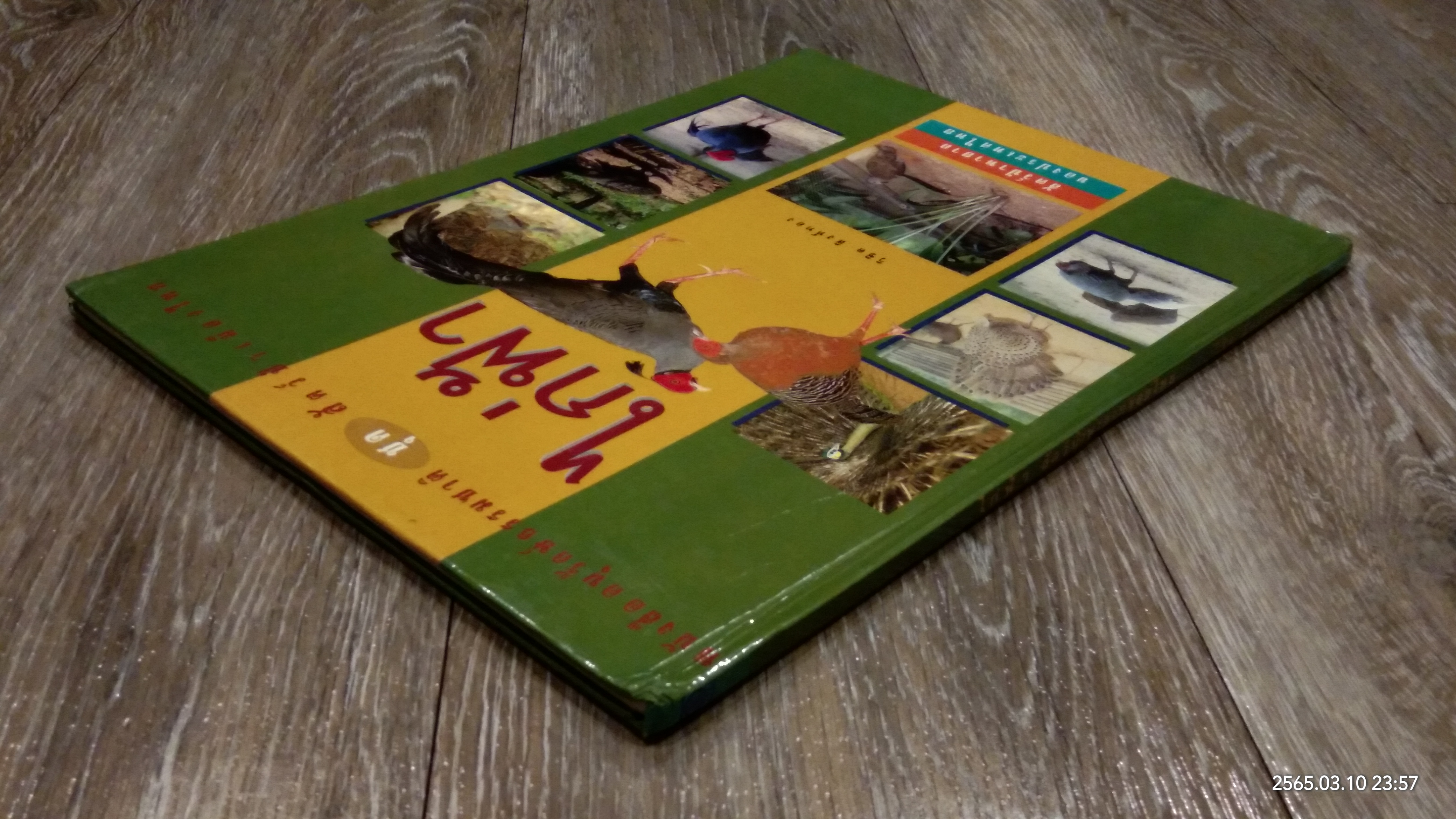 ไก่ฟ้า สัตว์ป่าหายาก ของไทย / วิชิต สิงห์ทอง