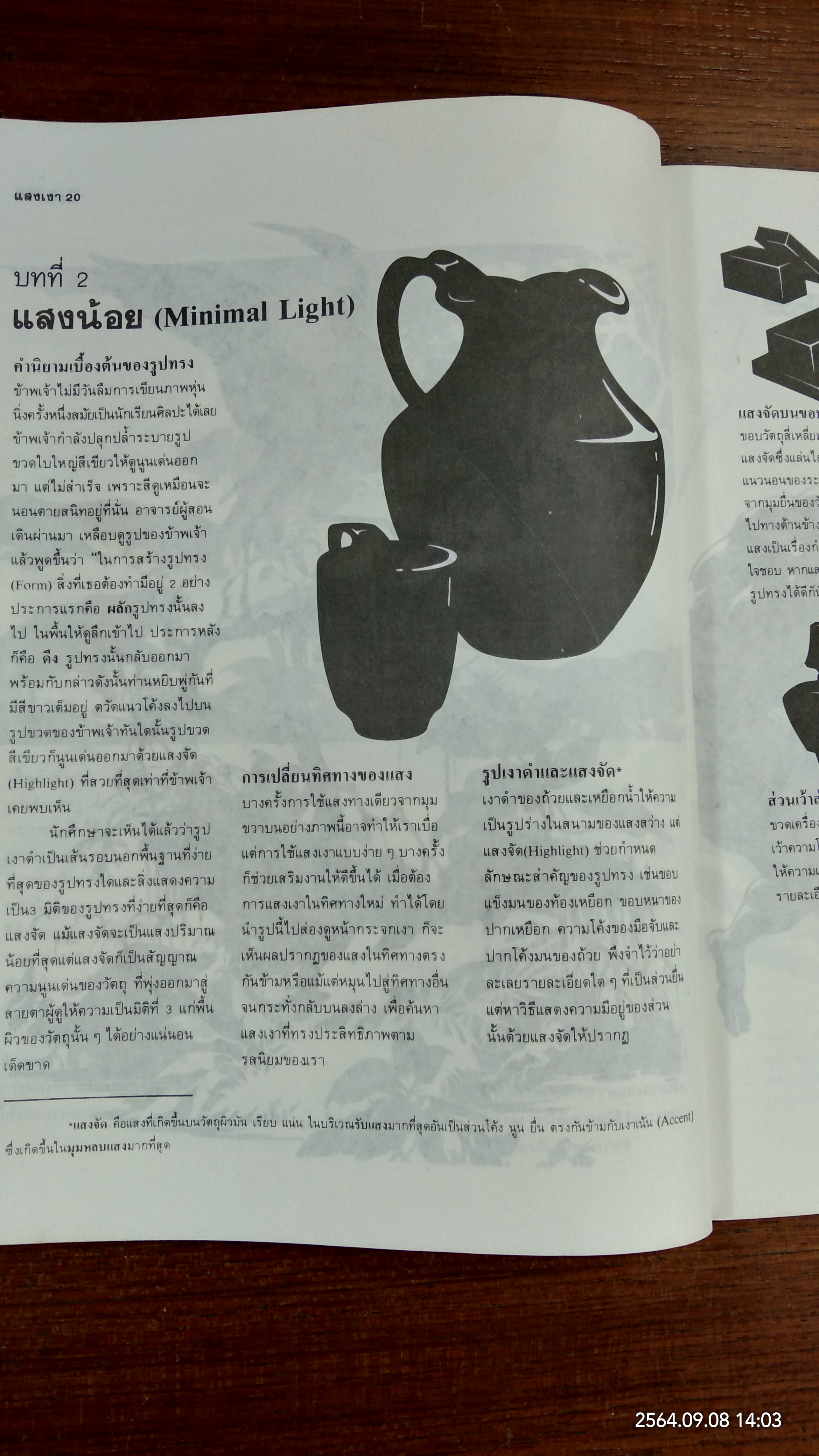 แสงเงา เนื้อและการสร้างสรรค์ / นิวิต หะนนท์