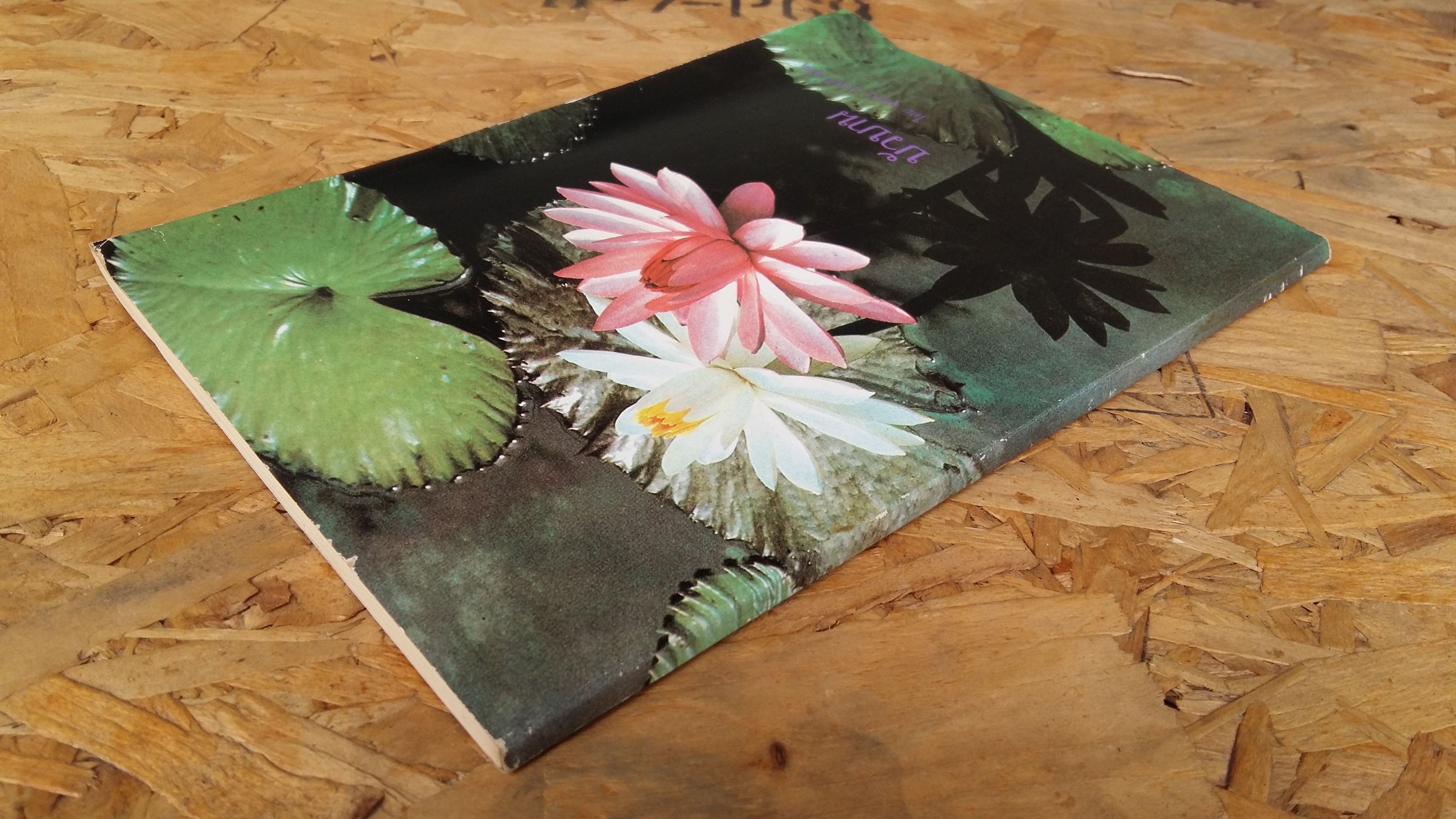 บัวบาน / บุษกร สวัสดิ์-ชูโต