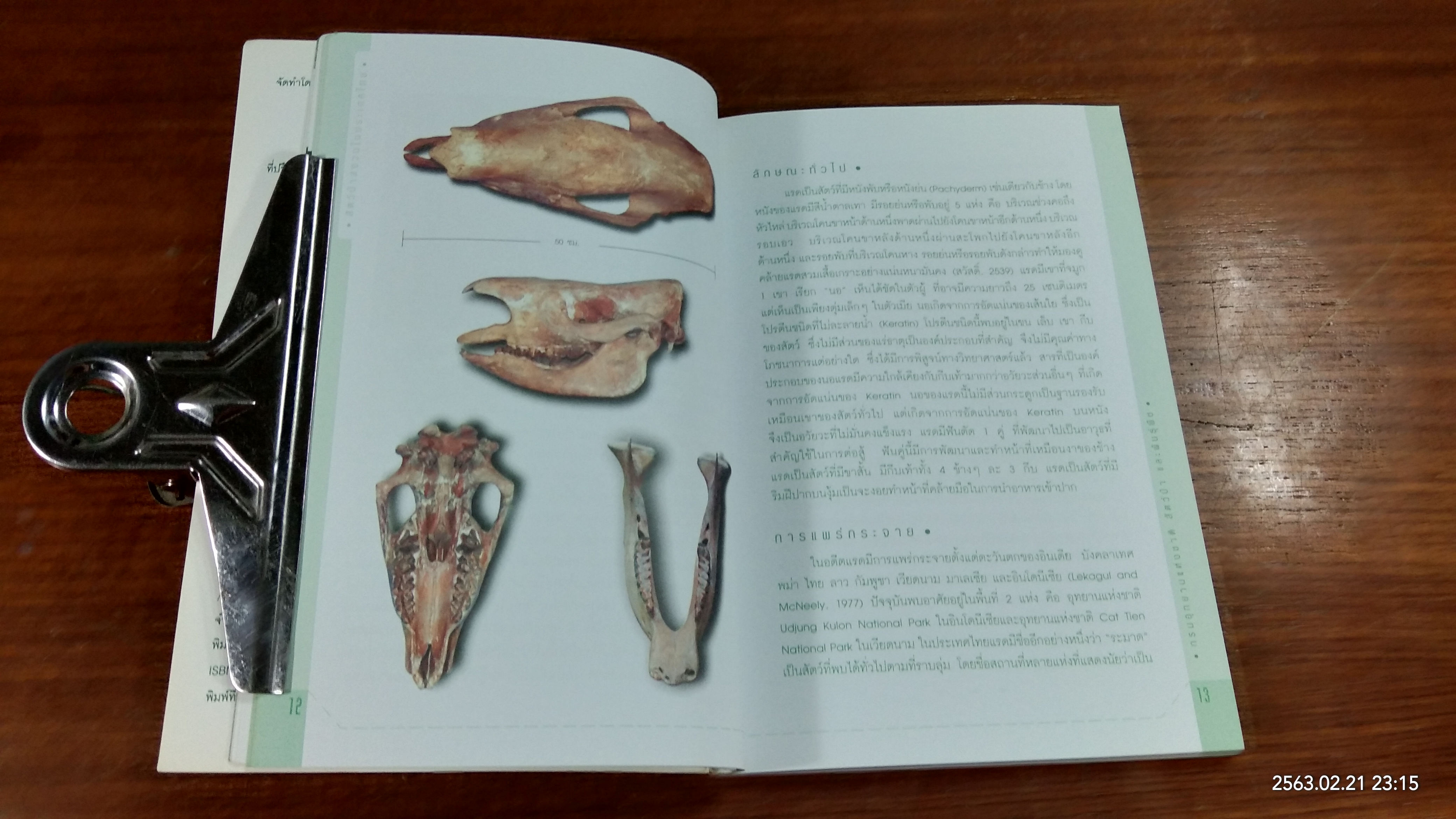 สัตว์ป่าสงวนในประเทศไทย / กรมอุทยานแห่งชาติ