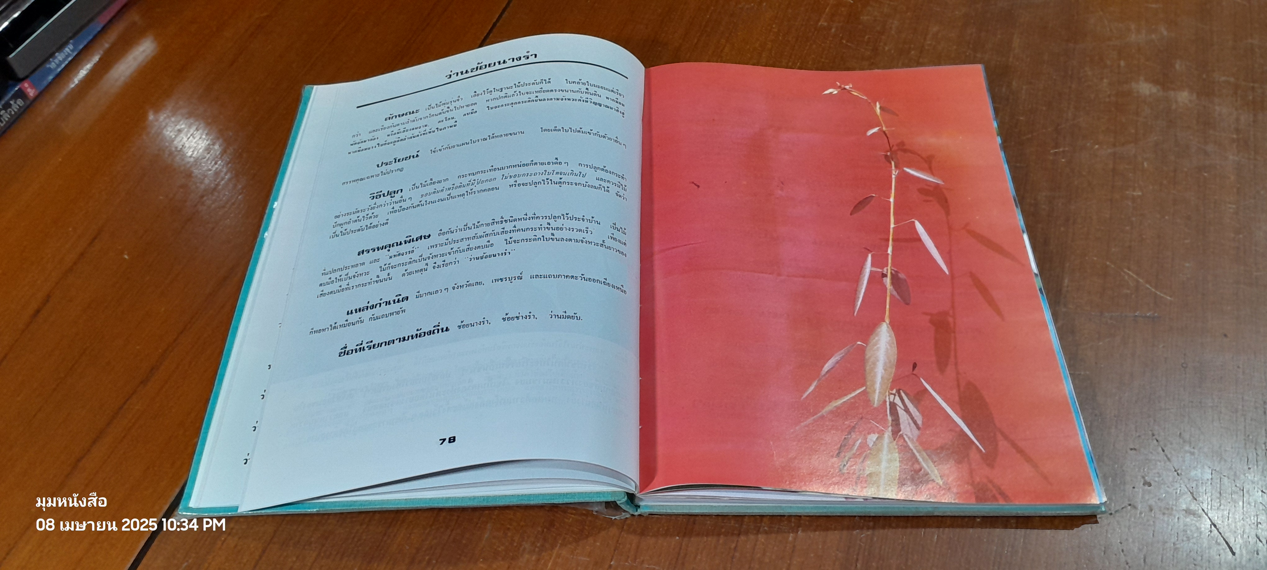 ๑๐๘ ว่านมหัศจรรย์ / เชษฐา