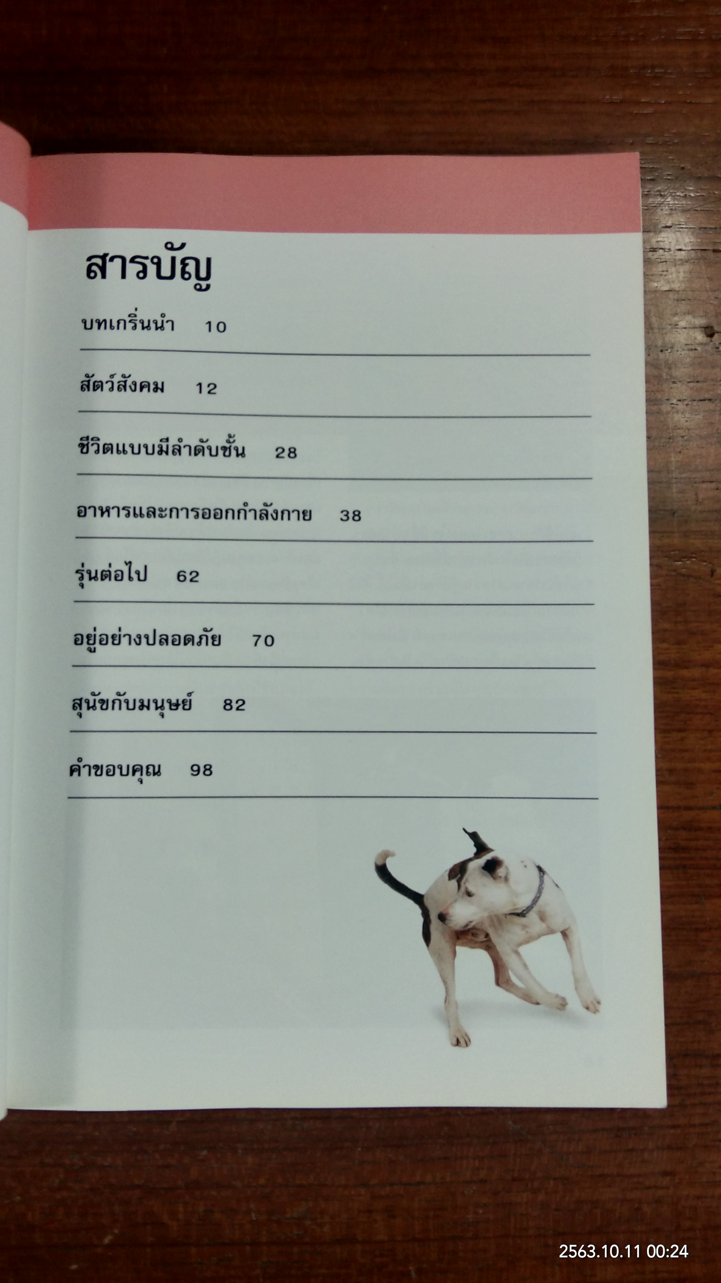 รู้ไหมหมาคิดอะไรอยู่? / GWEN BAILEY