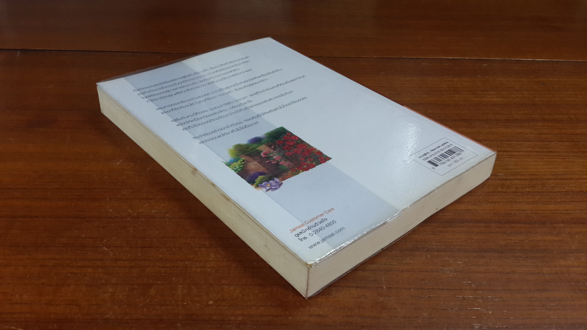 เพลิงผลาญใจ / นายน้อย