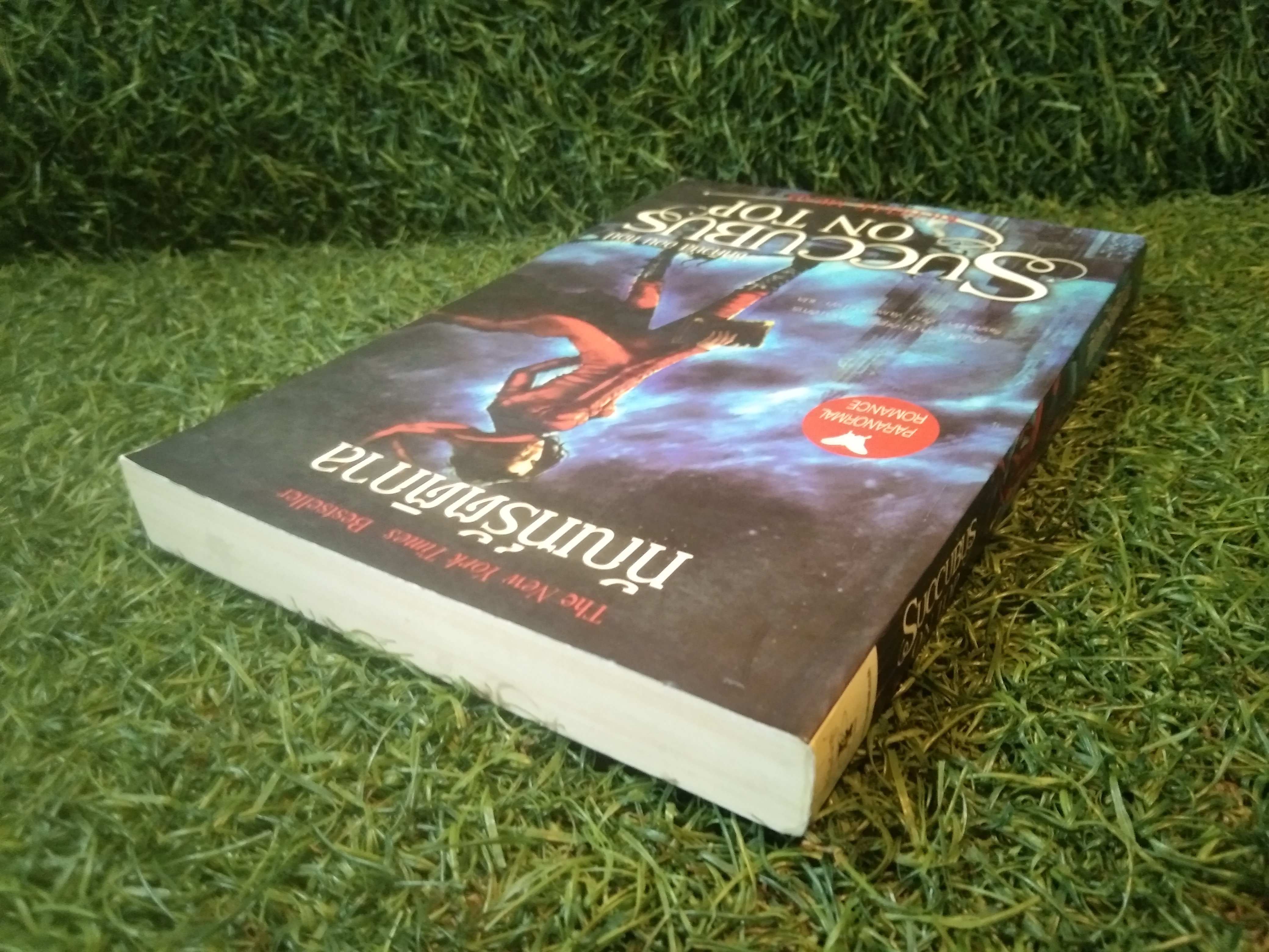The New York Times Bestseller ทัณฑ์รัตติกาล ซัคคิวบัส ออน ท็อป SUCCUBUS ON TOP / ริเชลล์ มี้ด