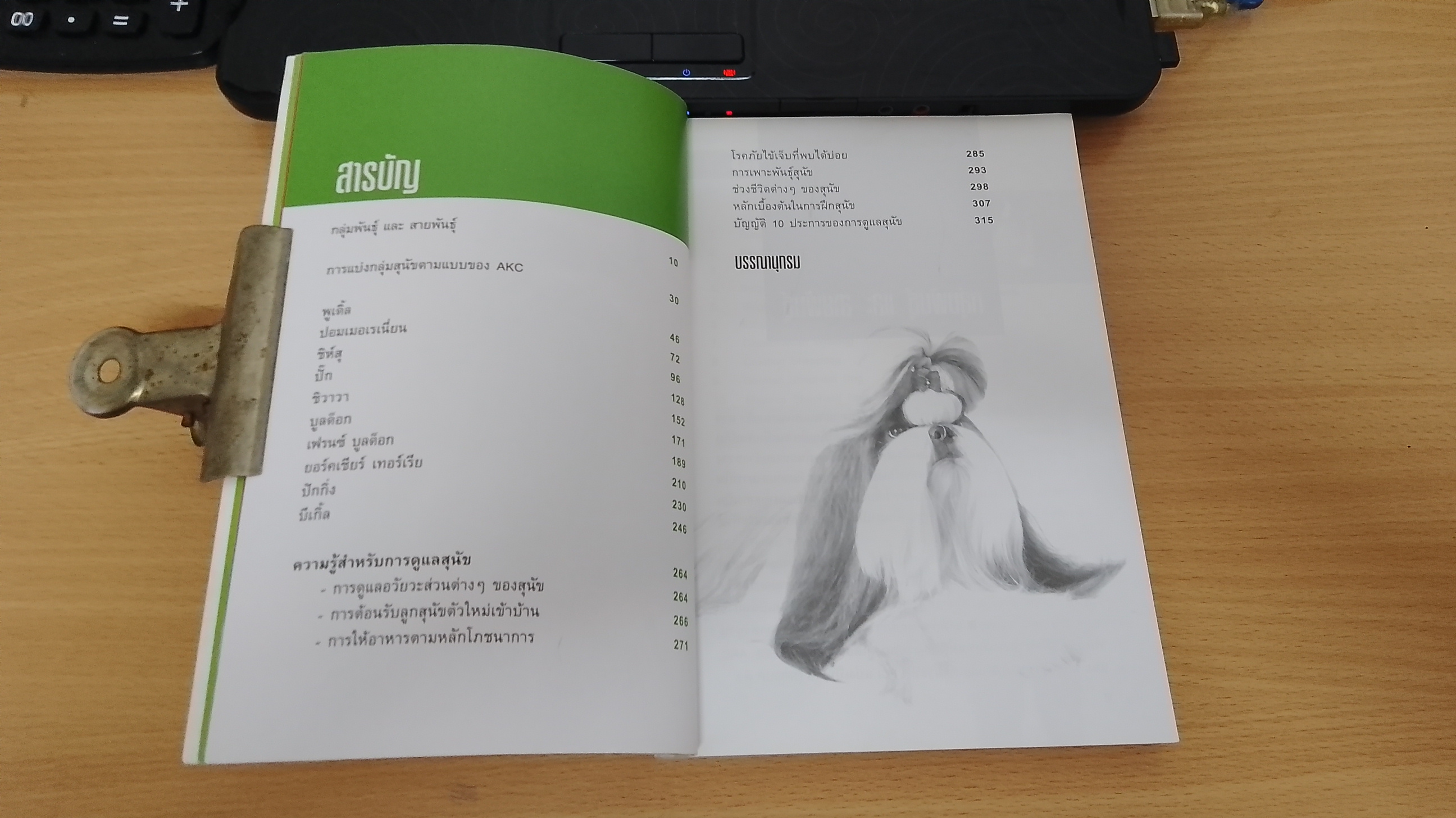 DOG IN THAILAND Vol.1 / ทวีศักดิ์