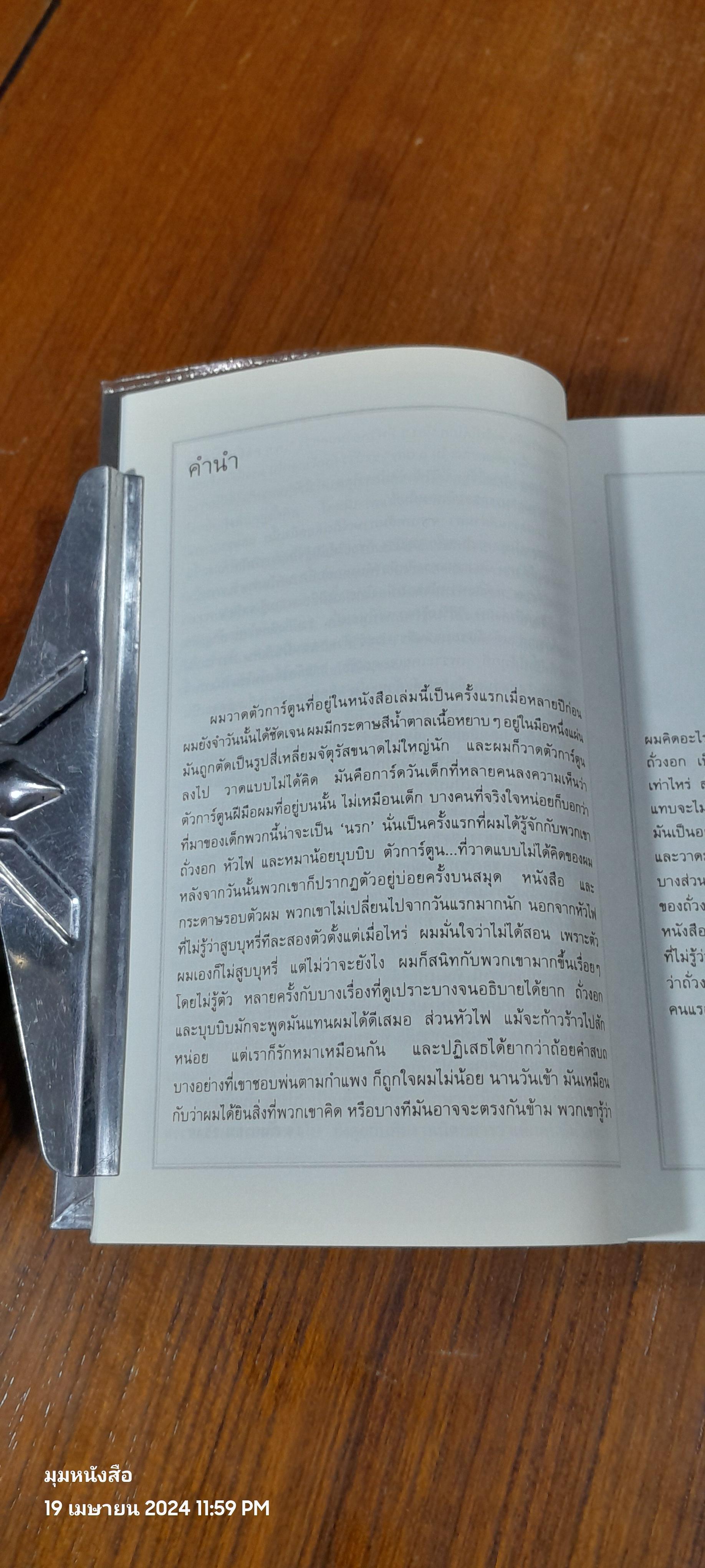 Beansprout & Firehead I In the Infinite Madness - ถั่วงอก และ หัวไฟ (เล่ม1) ในความบ้าคลั่งอันมิรู้สิ้นสุด / ทรงศีล ทิวสมบุญ