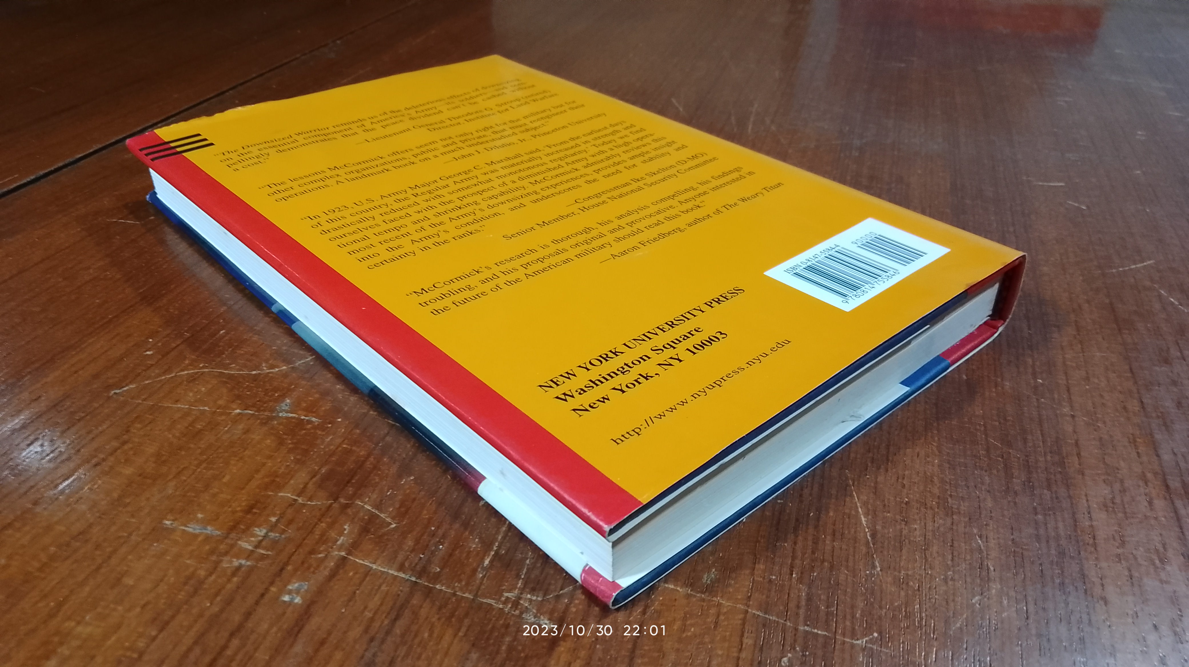 THE DOWNSIZED WARRIOR / David H McCormick