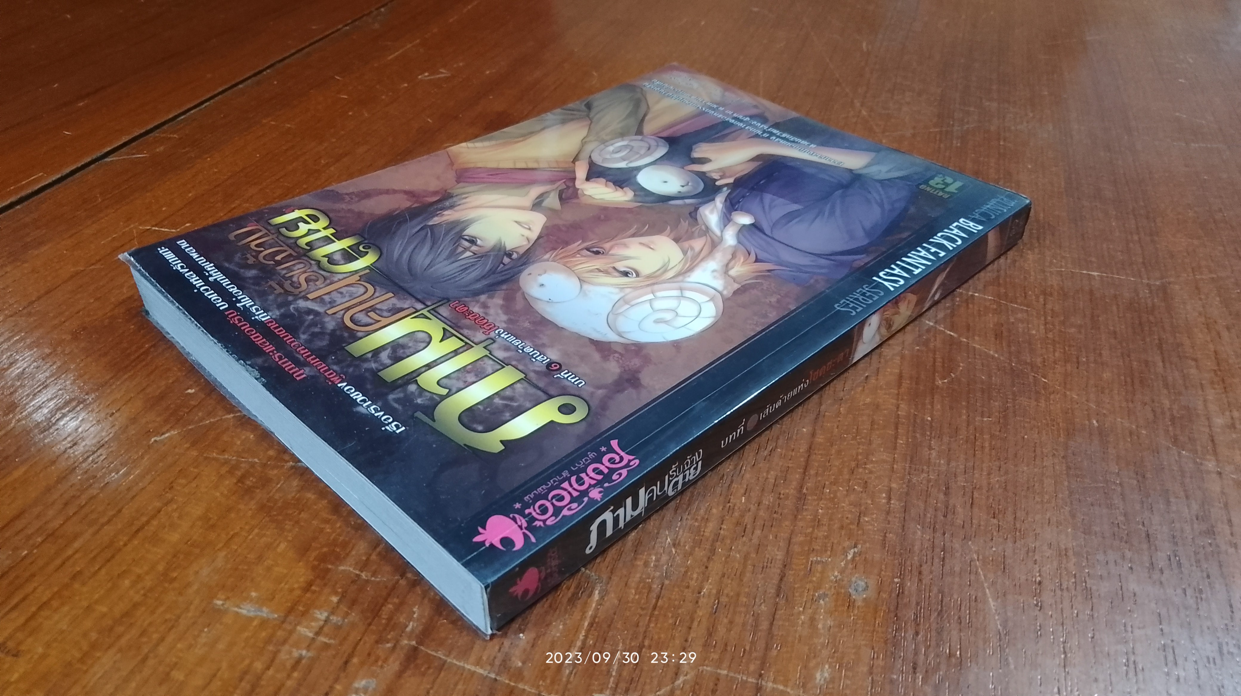 ภาม คนรับจ้างตาย 6 ตอน เส้นด้ายแห่งโชคชะตา / วาฬน้ำเงิน