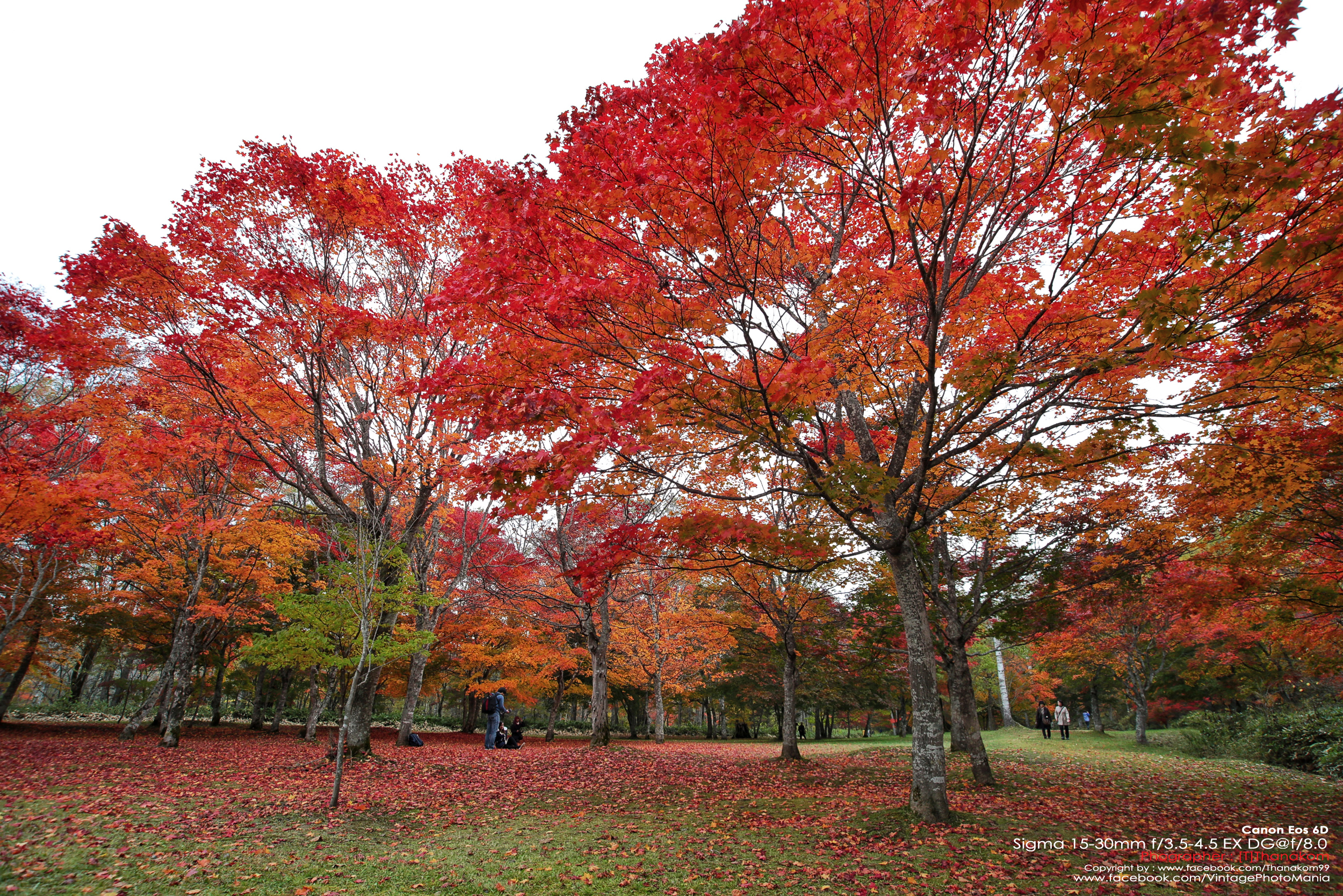 Sigma AF 15-30/3.5-4.5D EX DG Aspherical[IF] *Nikon AF-D Mount เลนส์ไวด์สุดๆรองรับกล้องฟูลเฟรม