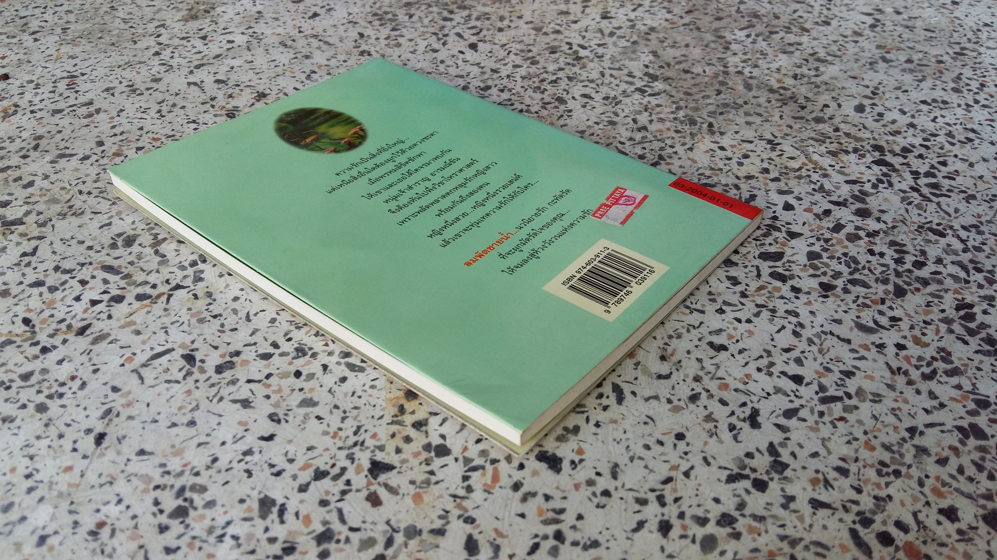 ลมพัดชายน้ำ / ณษณา