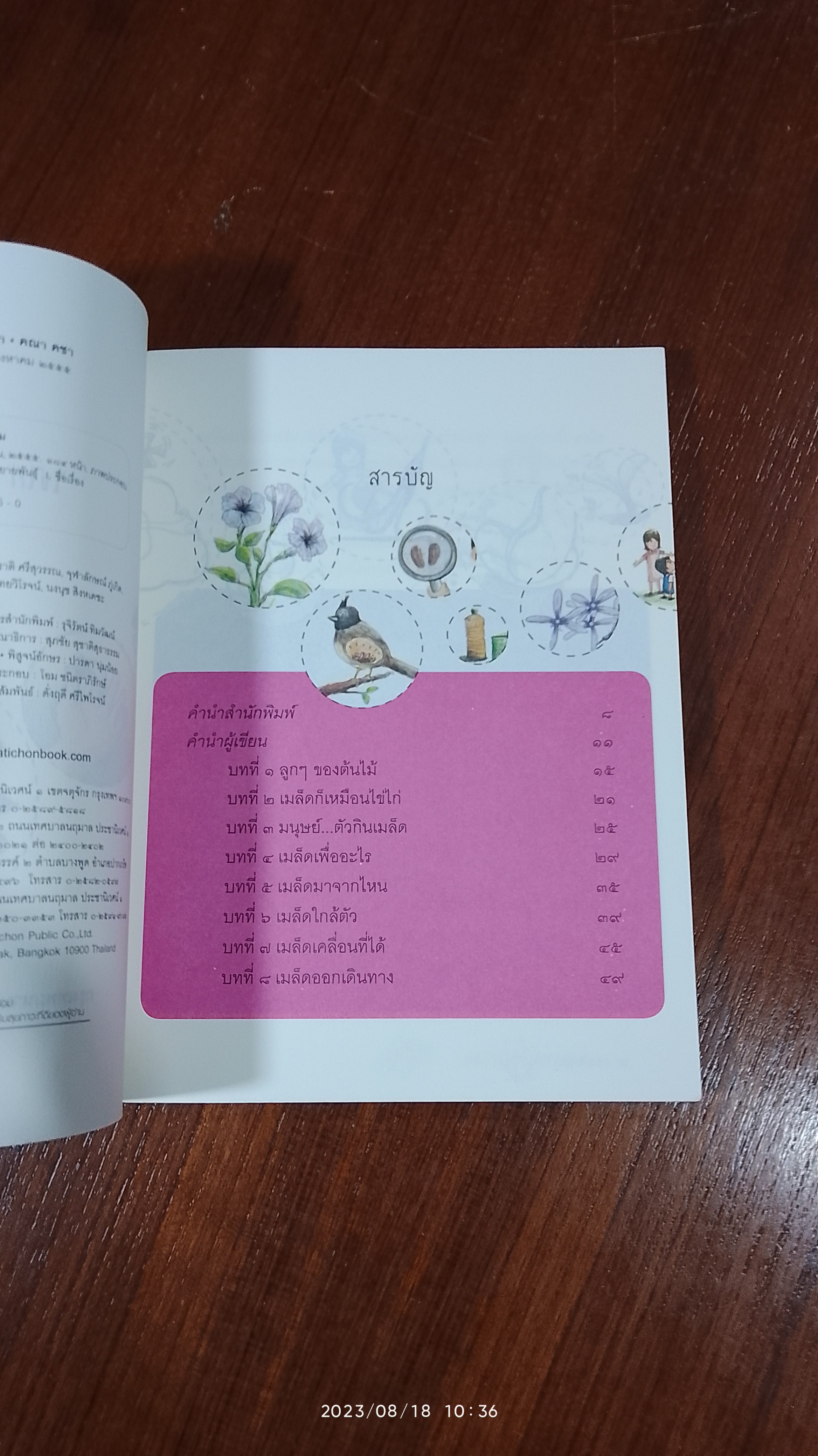 เมล็ด ไข่ไก่ และ เจ้าหญิงนิทรา / คณา คชา