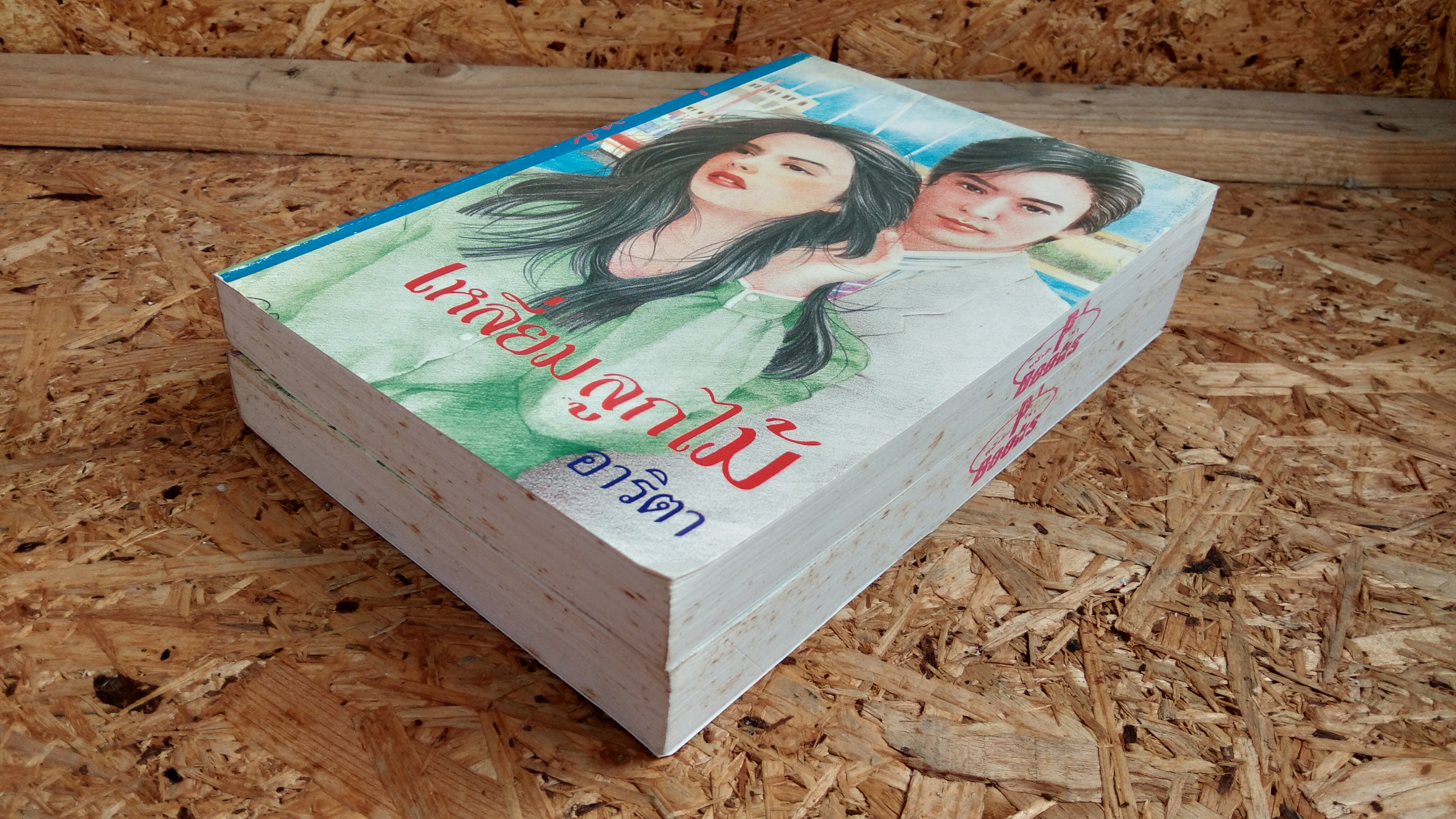 เหลี่ยมลูกไม้ (2เล่มจบ) / อาริตา