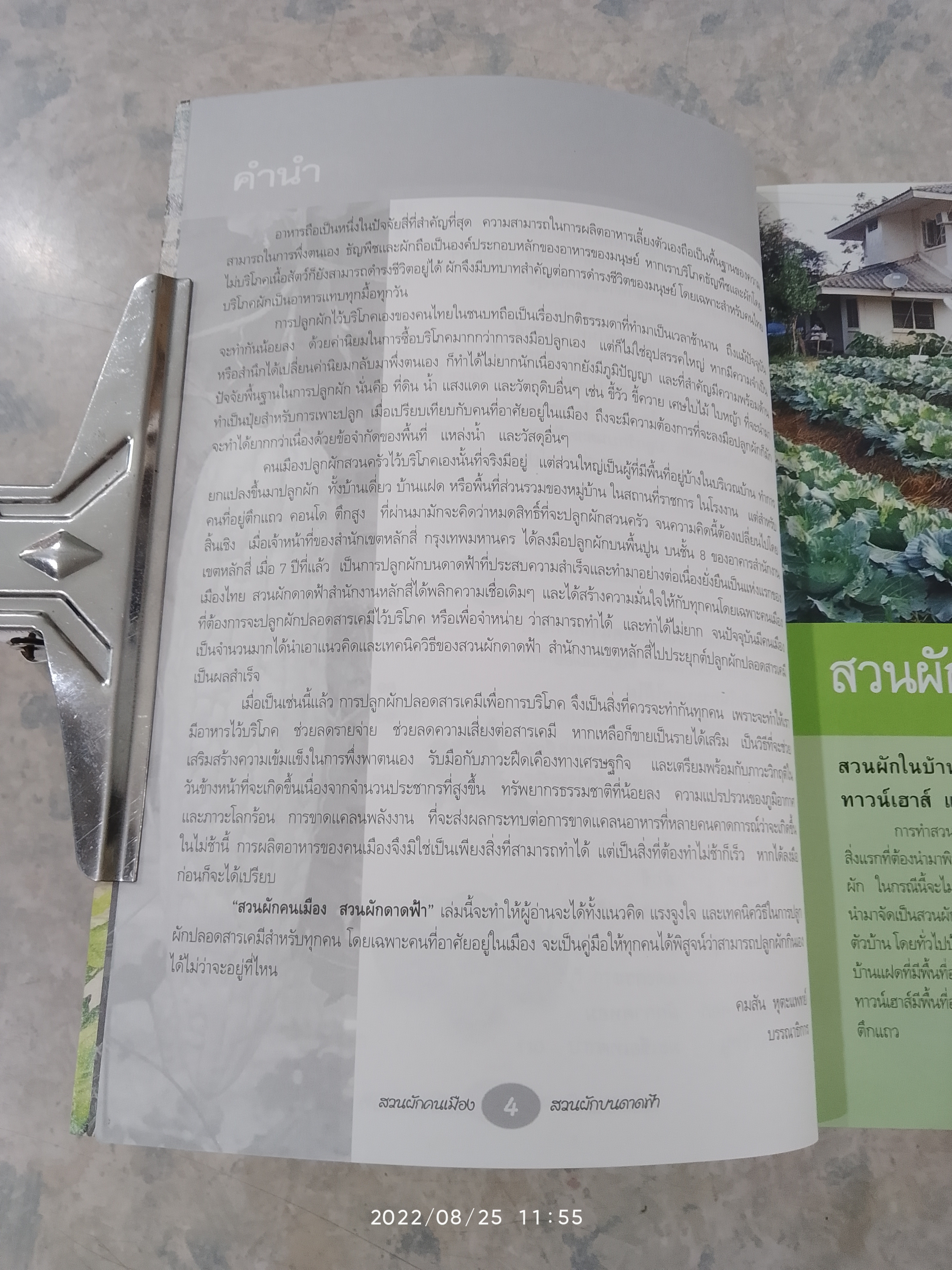 สวนผักคนเมือง สวนผักดาดฟ้า / คมสัน หุตะแพทย์