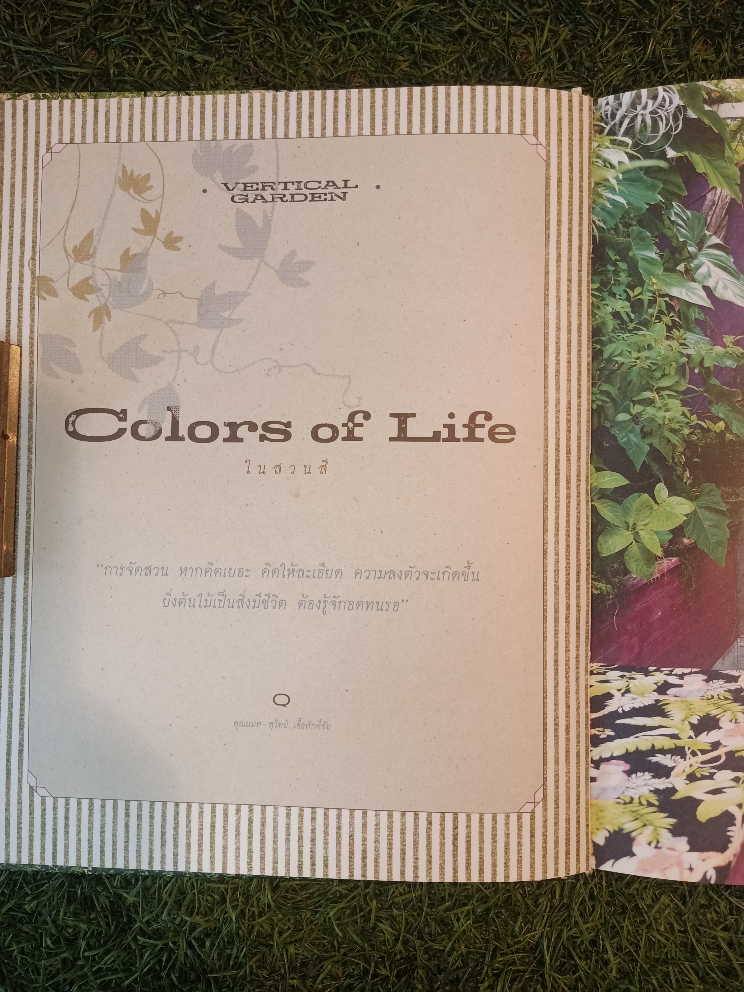 VERTICAL & ROOF GARDEN จัดสวนสวยบนผนังและหลังคา (หนังสือมีรอยชำรุดที่สันปก) / รศ.พาสินี สุนากร & ทิพาพรรณศิริเวชฎารักษ์