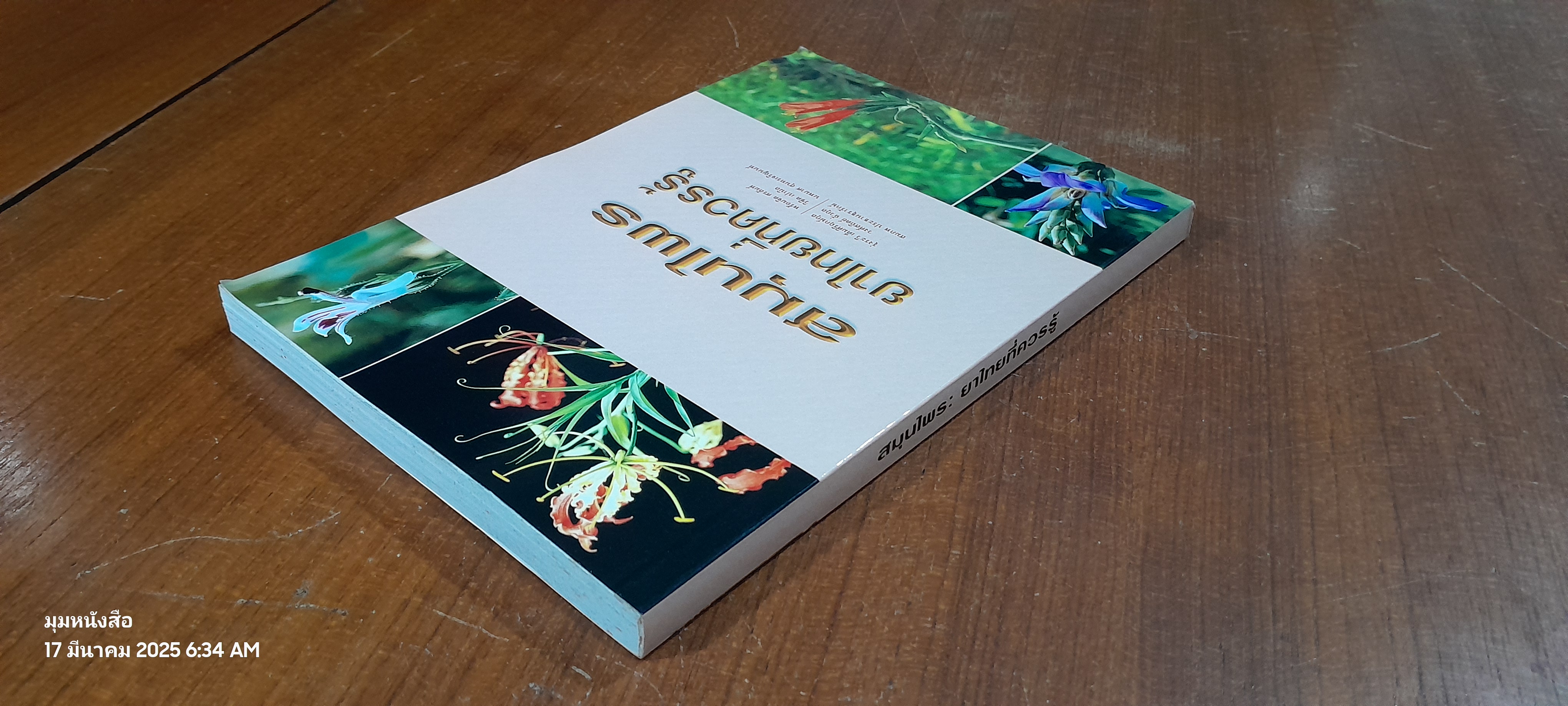 สมุนไพรยาไทยที่ควรรู้ / รุ่งระวี เต็มศิริฤกษ์กุล