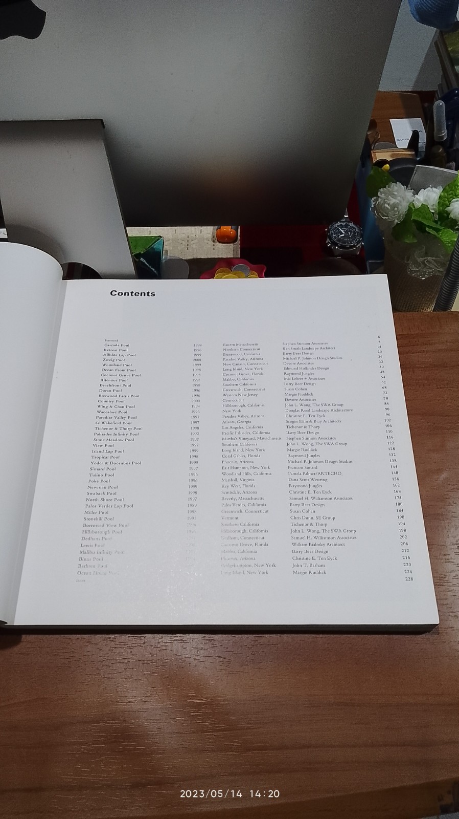 THE NEW AMERICAN SWIMMING POOL